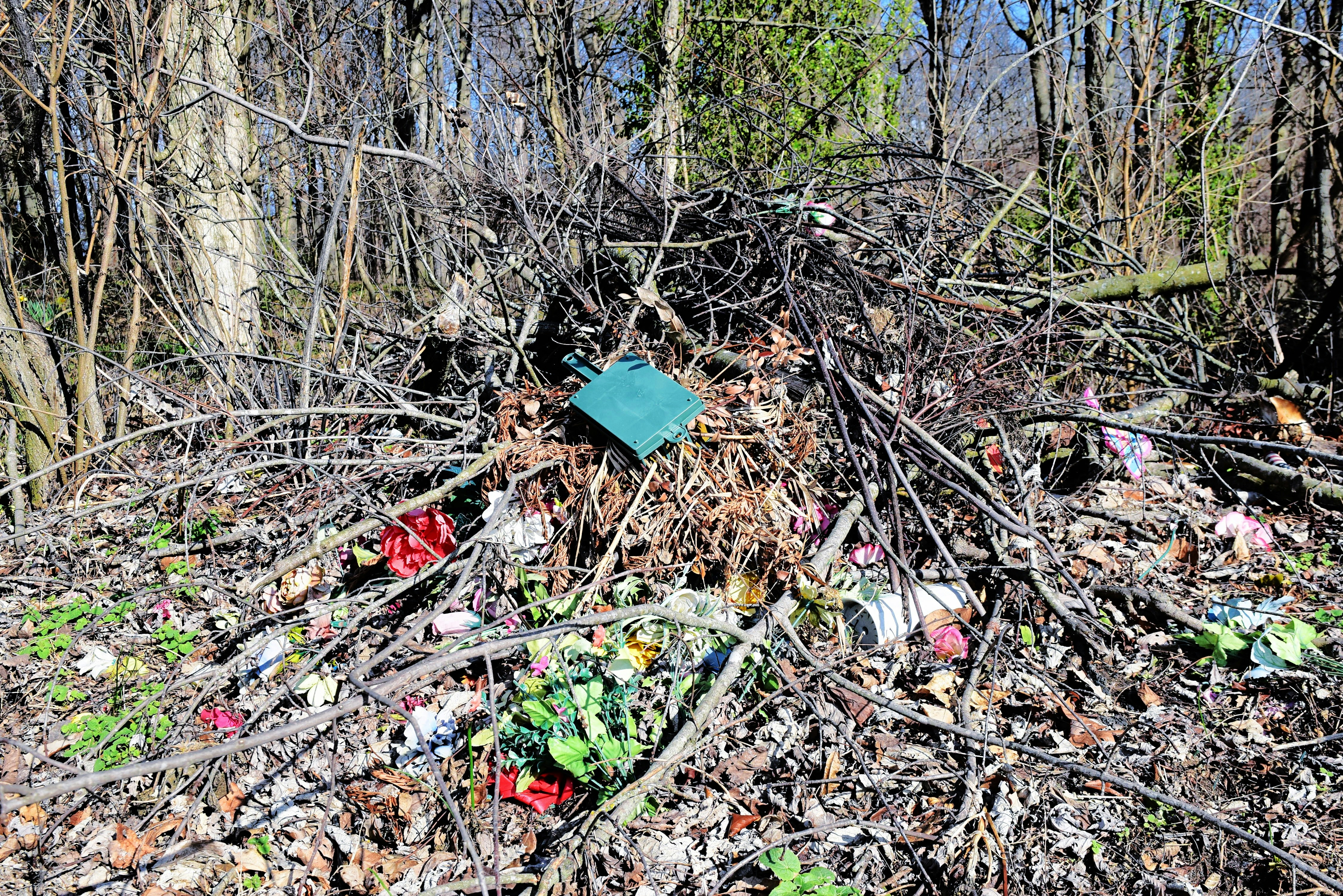 The Agricultural Revolution: Biodegradable Mulch Films (image credits: unsplash)