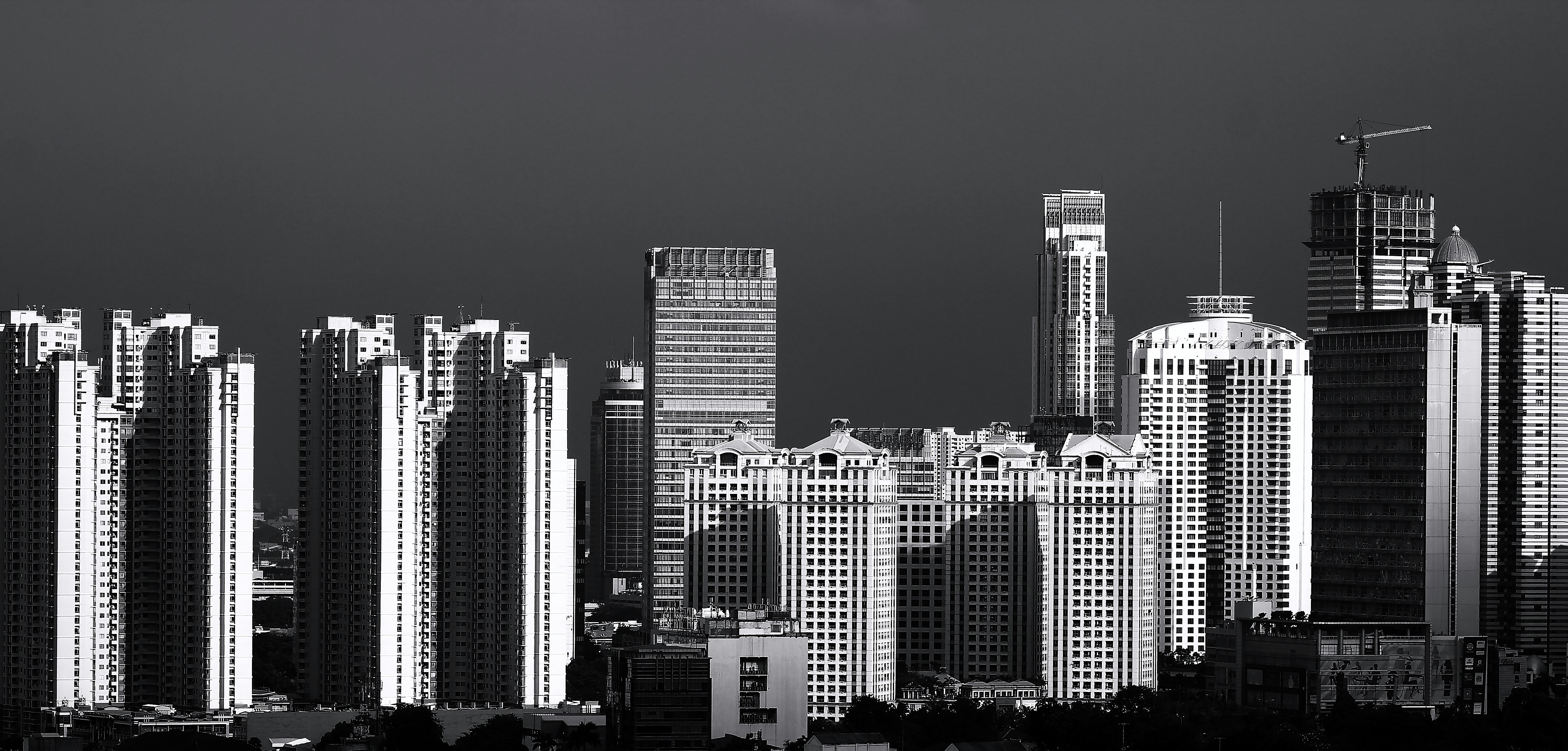 Image by Rian A. Saputro via Unsplash