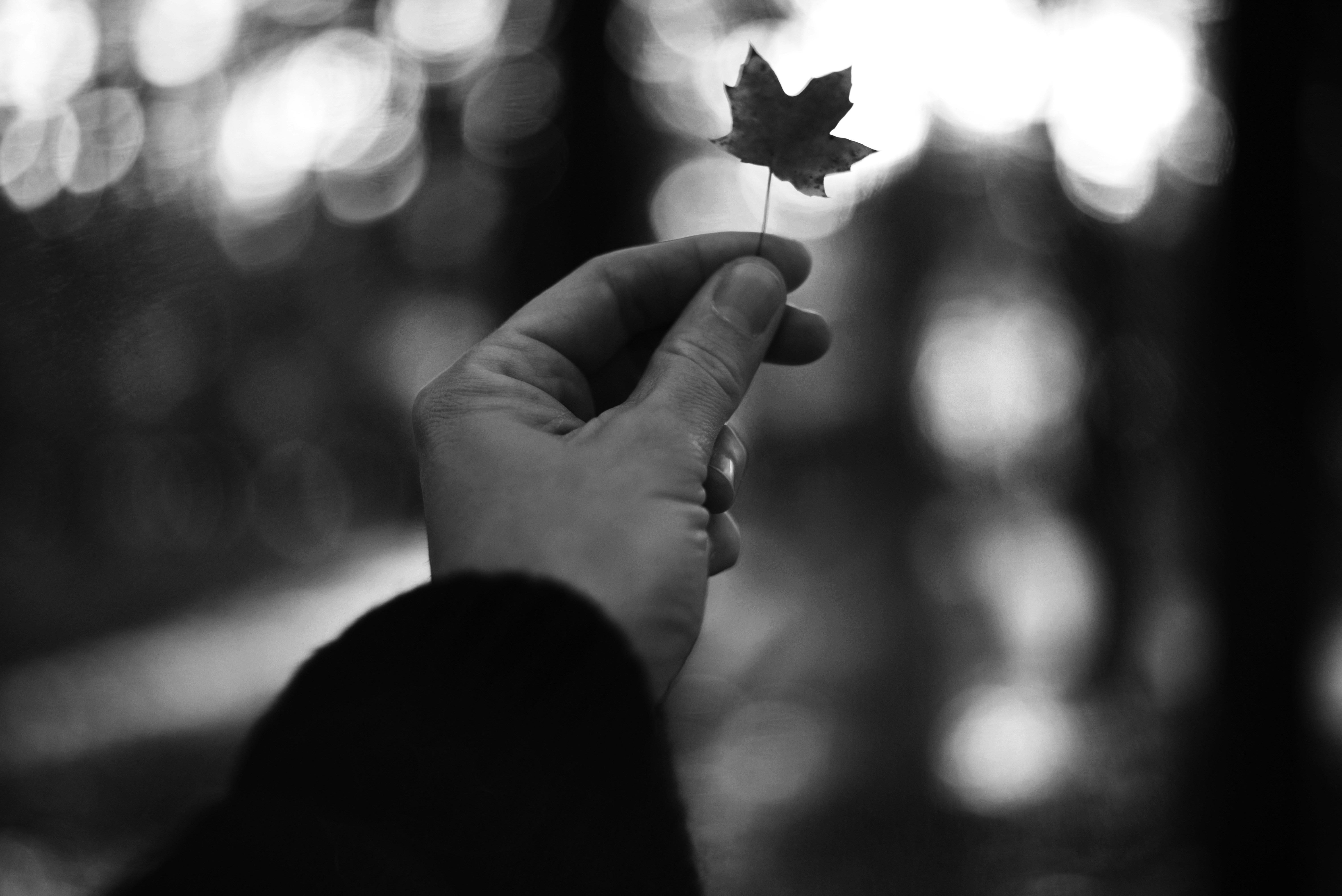 Photo by cherstve_pechivo