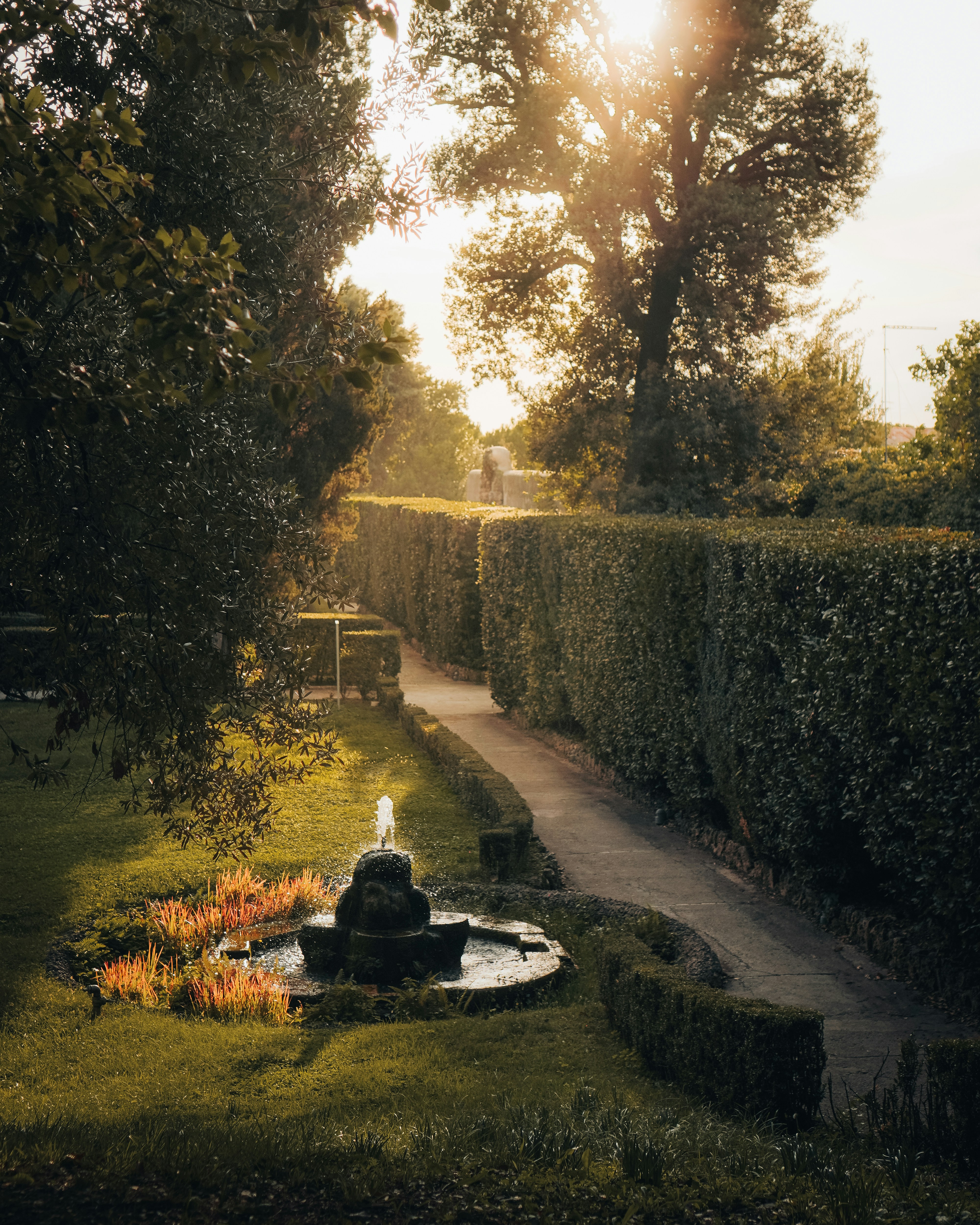 Photo by valentinapaschetto