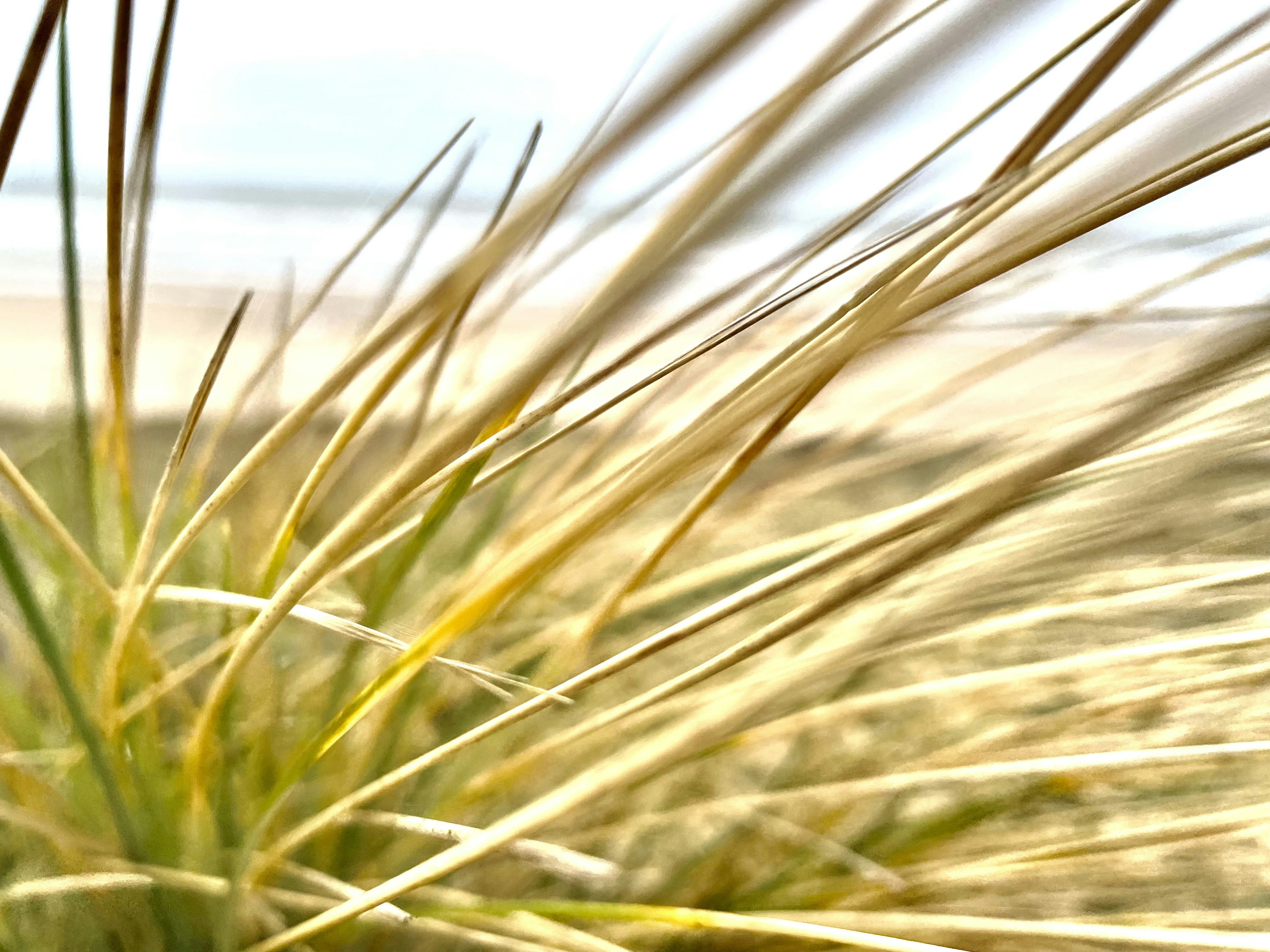 Photo by vierundzwanzig_7