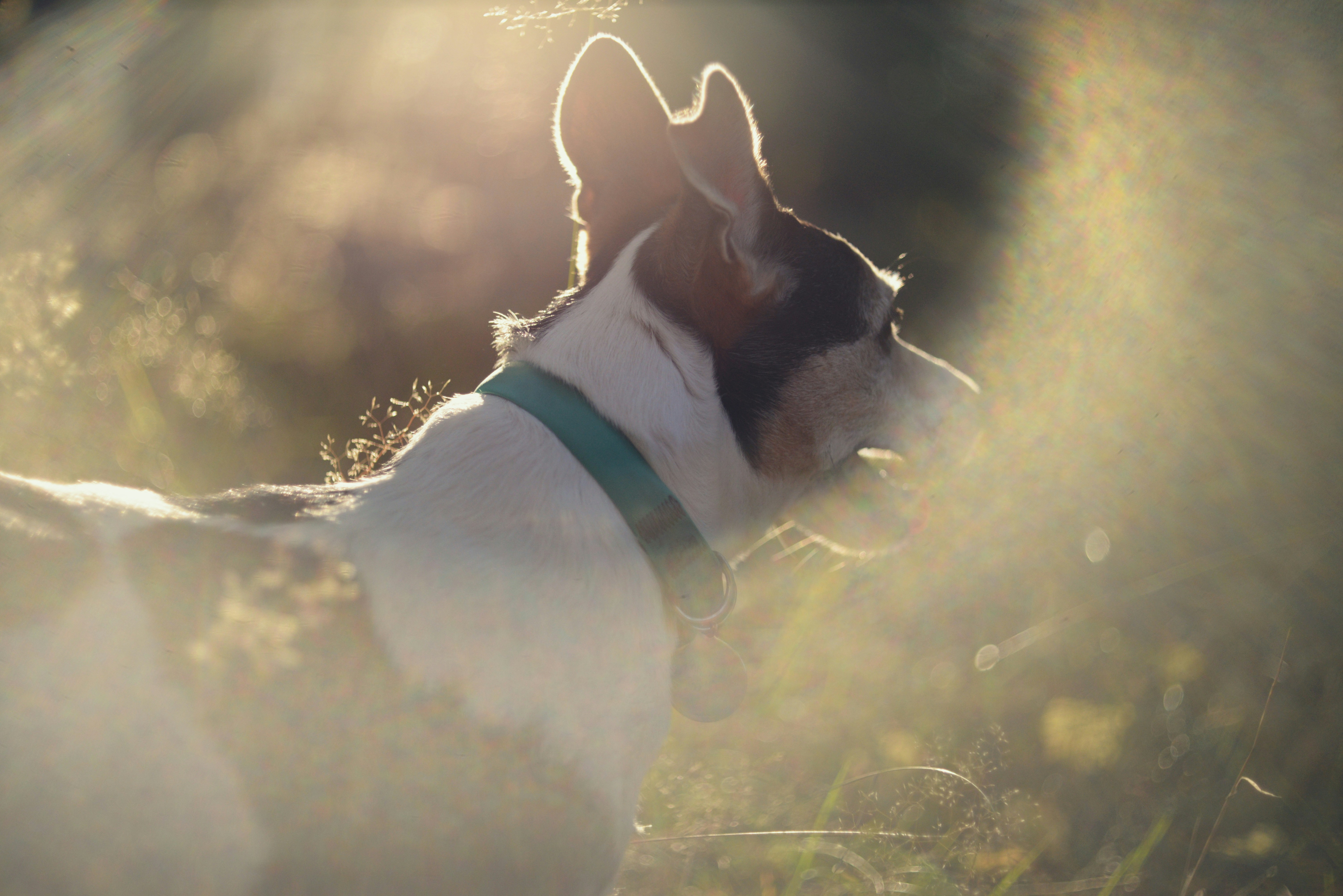 Photo by cherstve_pechivo