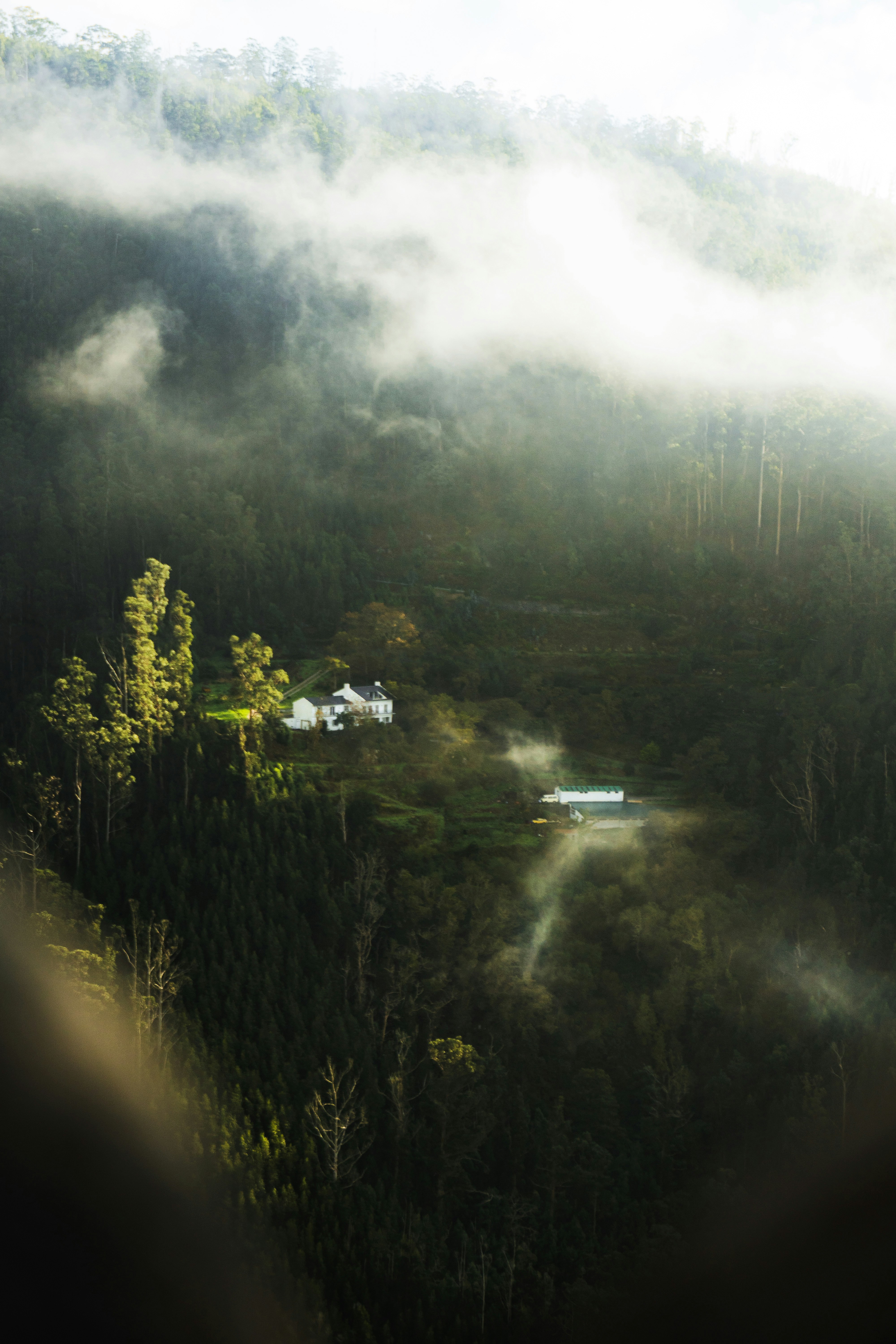 Eine Luftaufnahme eines Waldes mit einem Haus in der Ferne