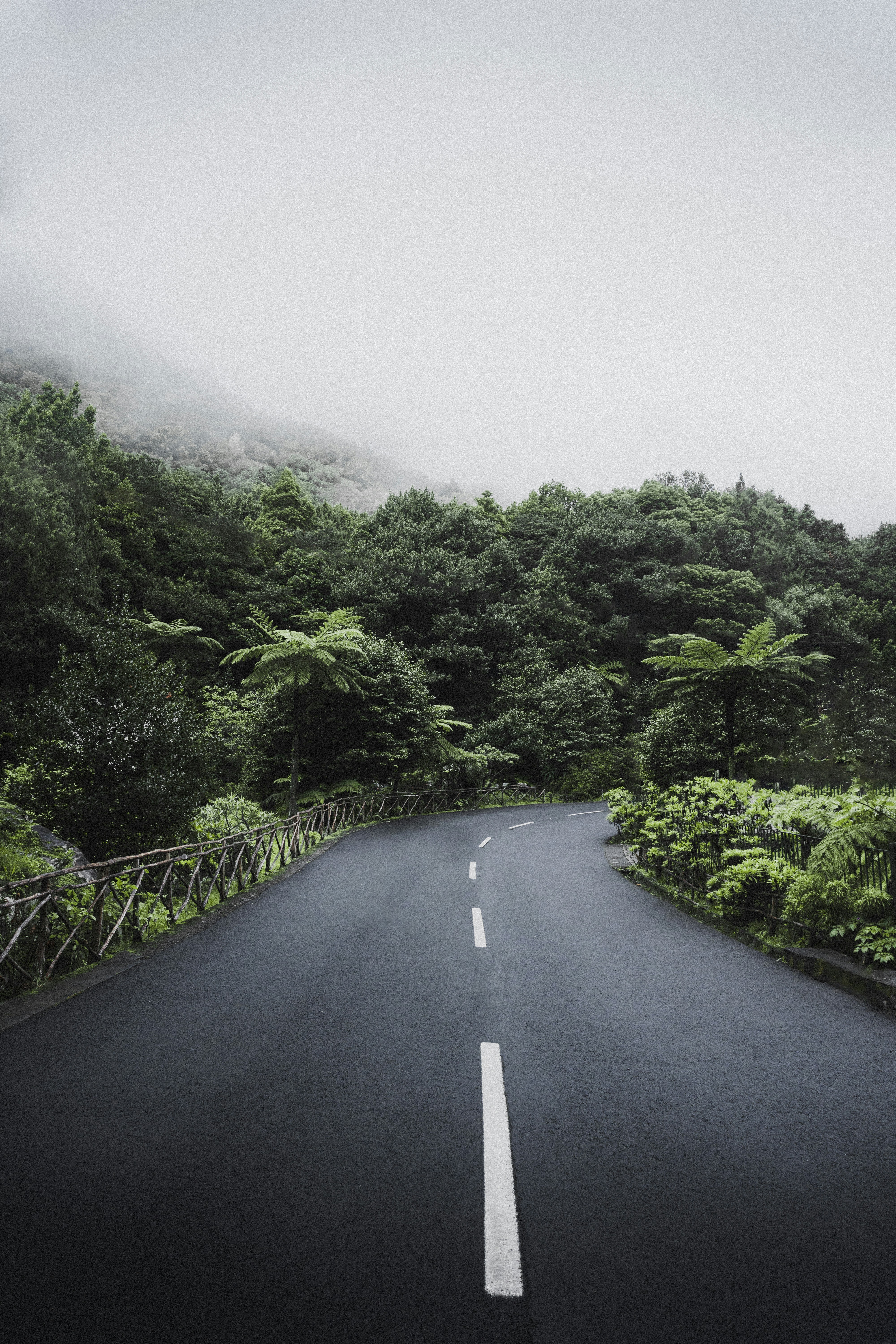 Photo by valentinapaschetto