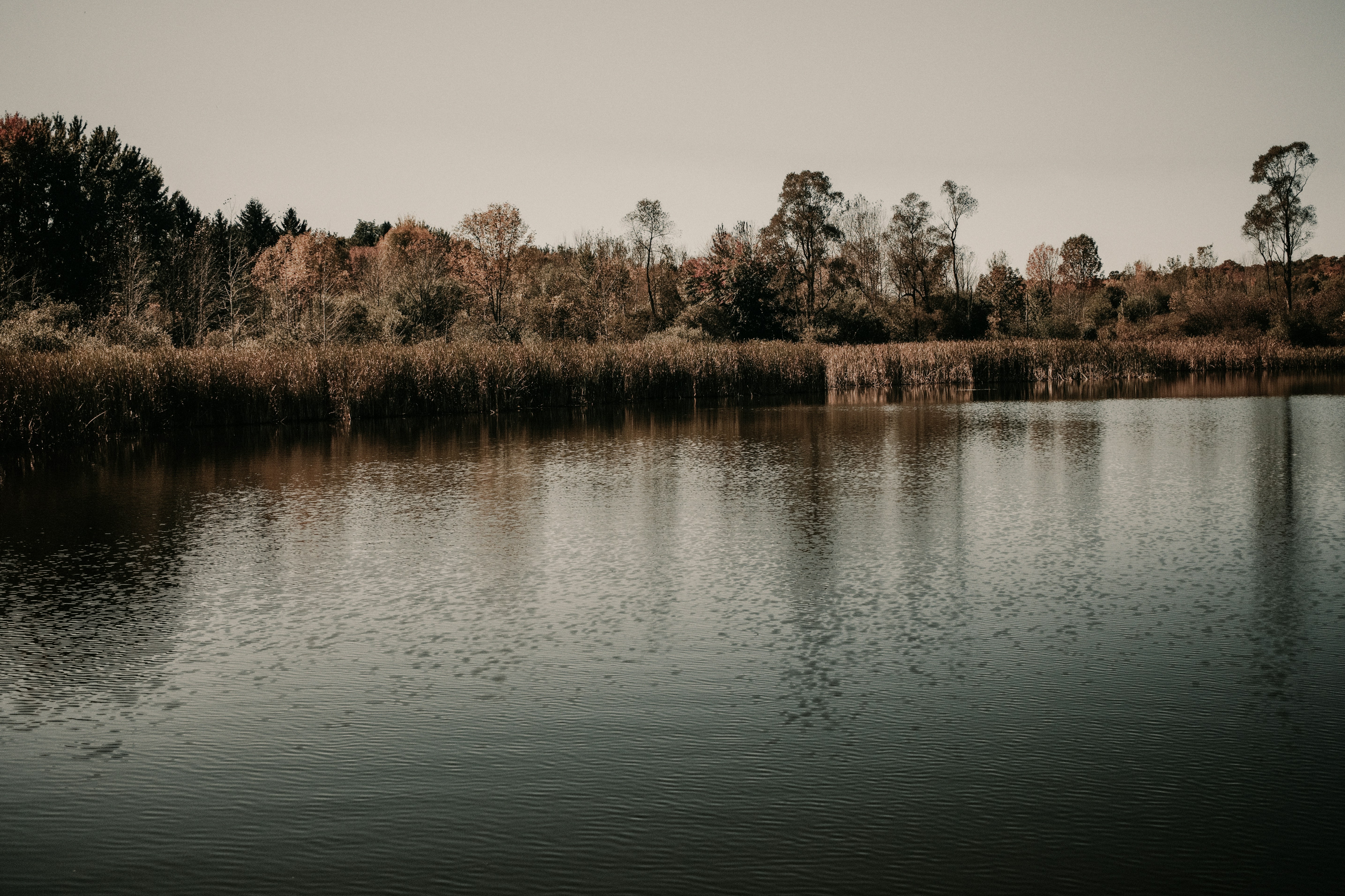 Photo by callys_corner