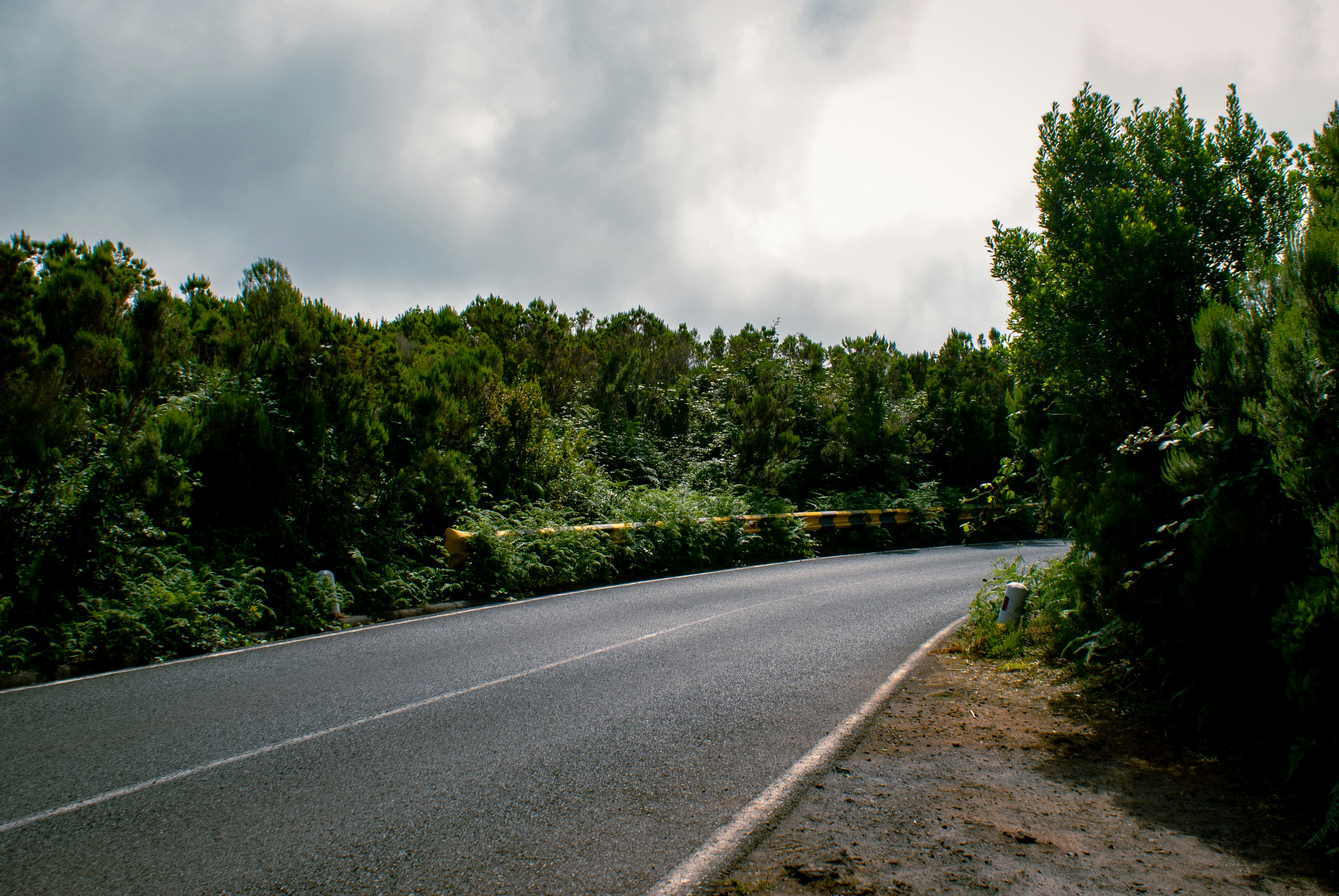 Photo by julia_oberhauser