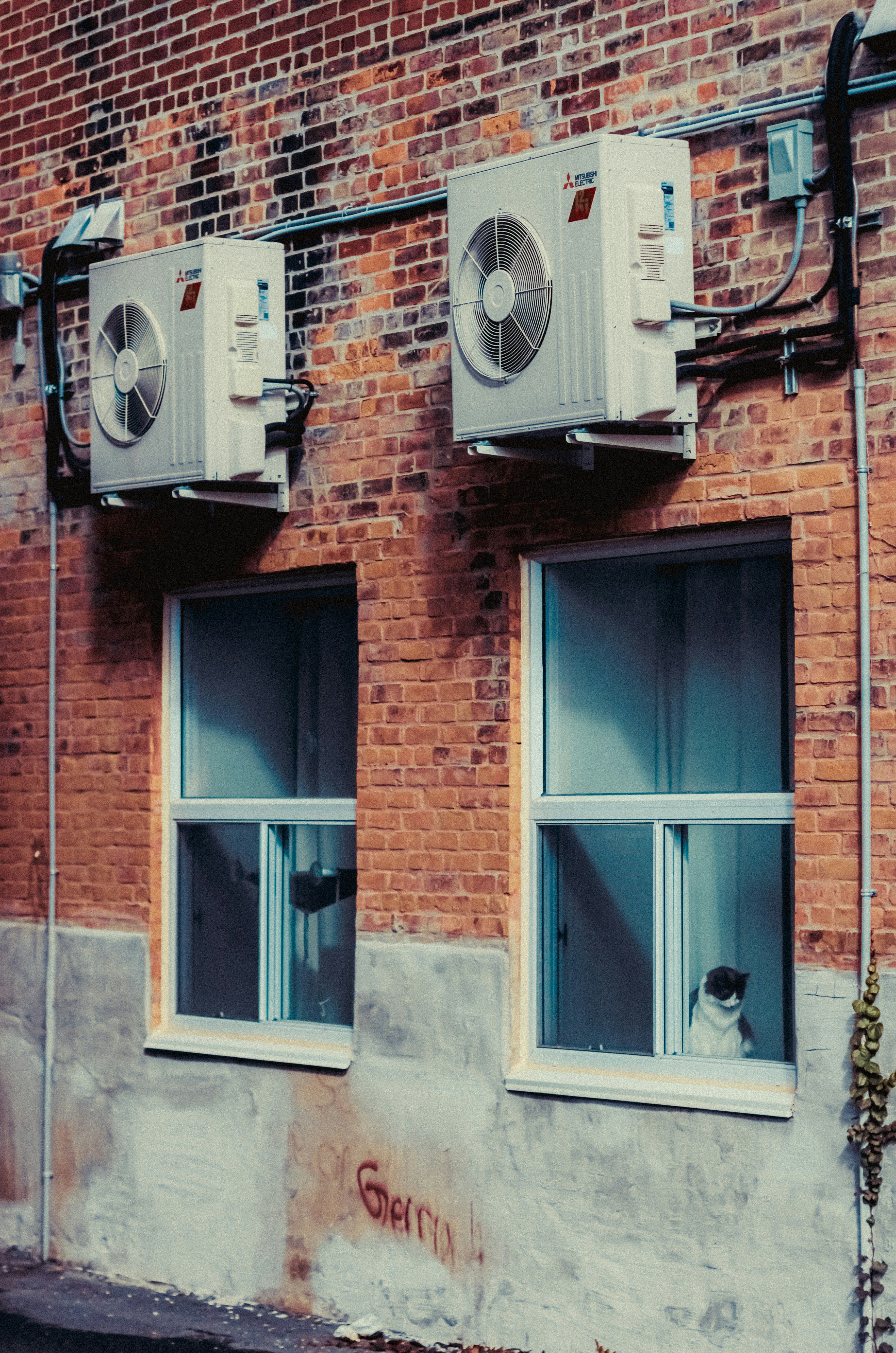 cat on windowsill in brick building under heat pump units