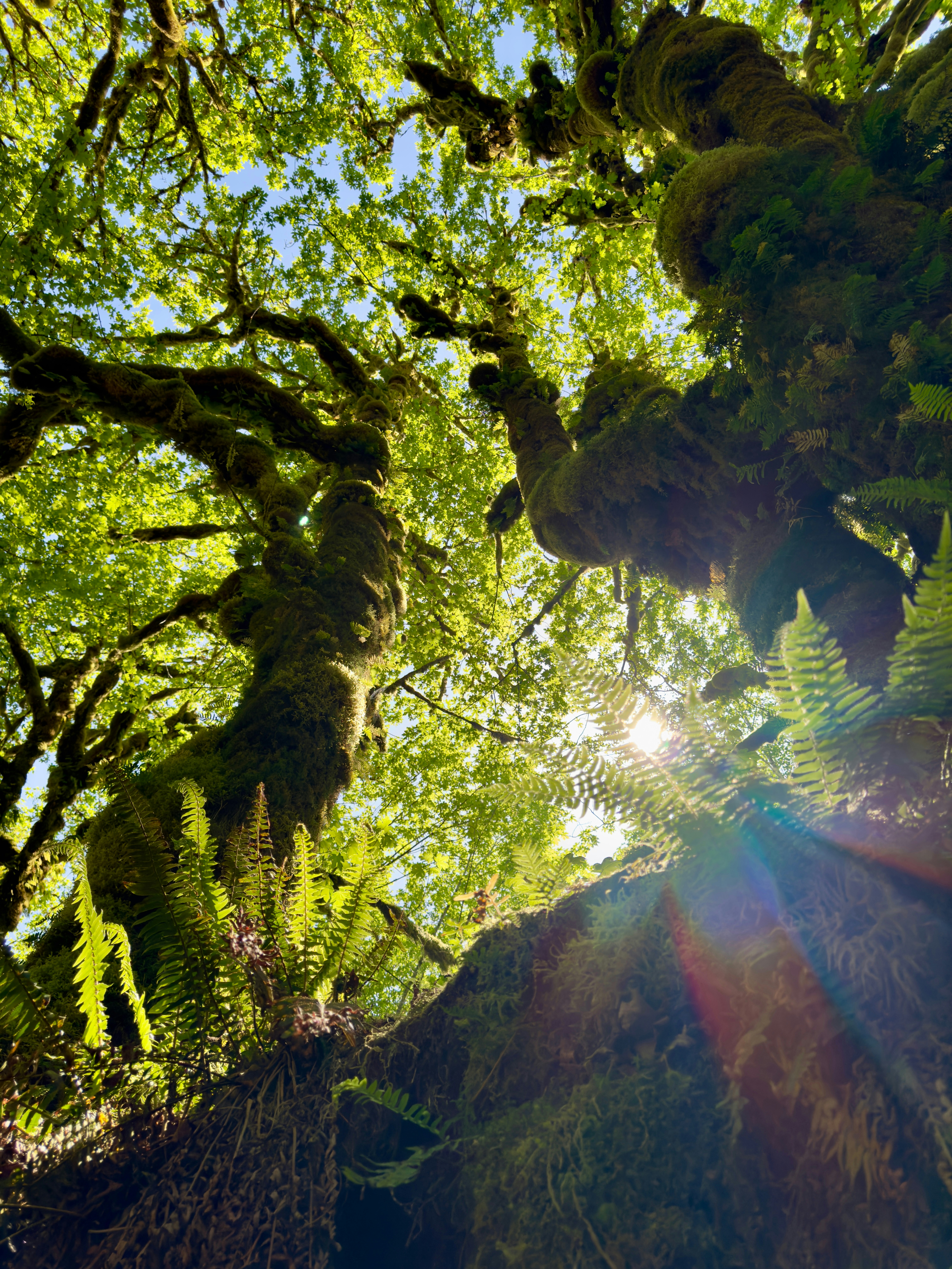 Photo by alchemystical_alice