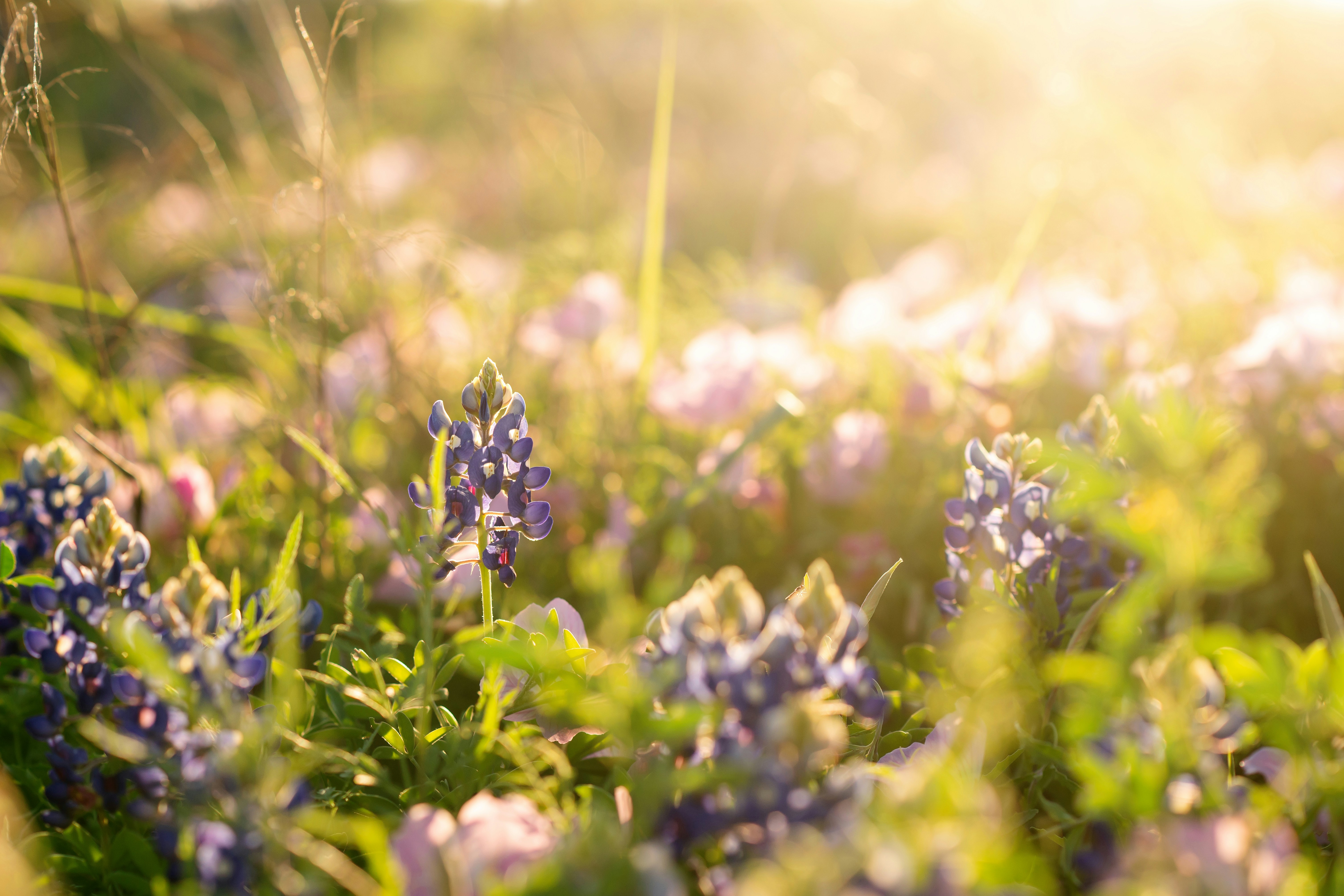 Photo by kimmypwilliams