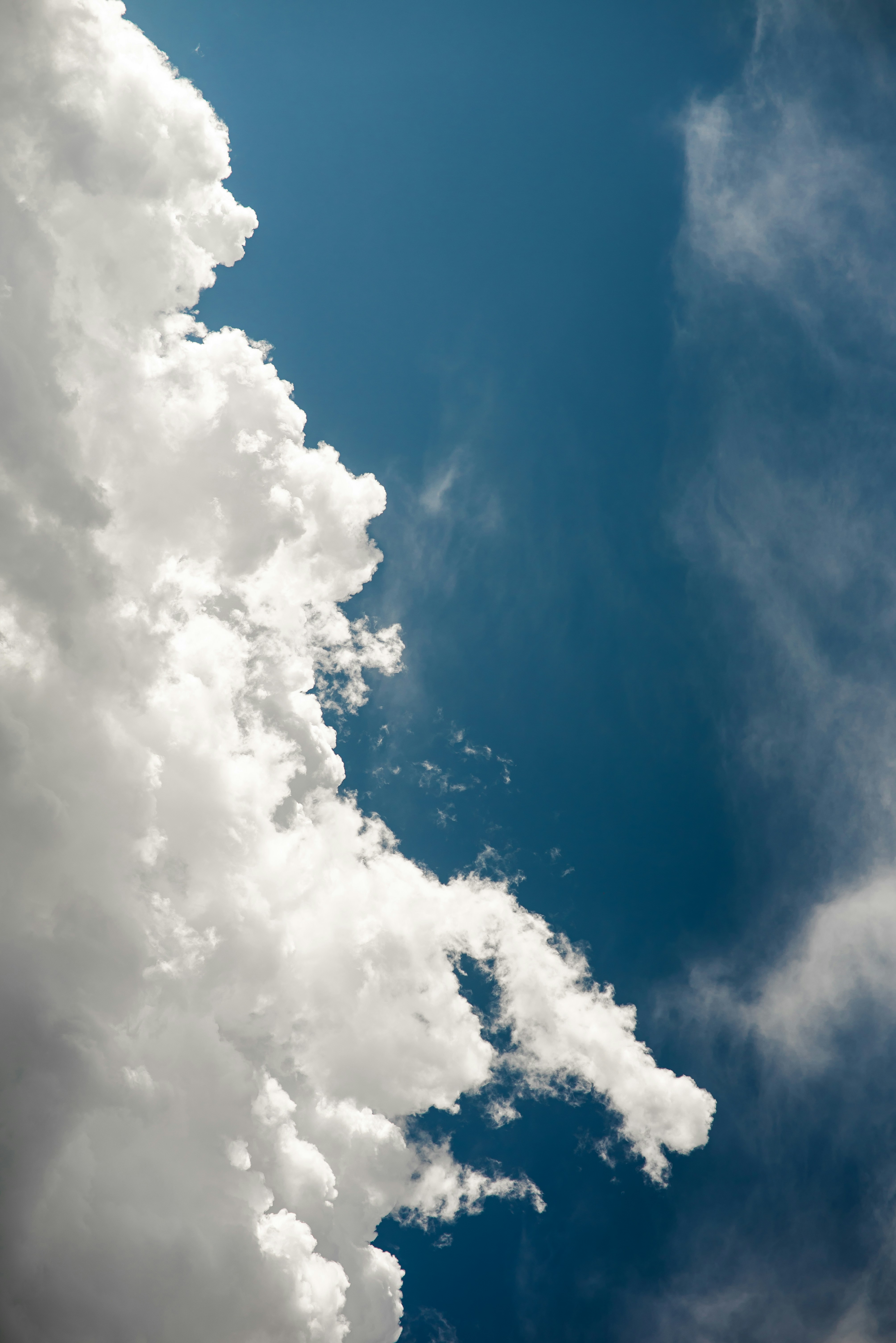 Photo by kimmypwilliams