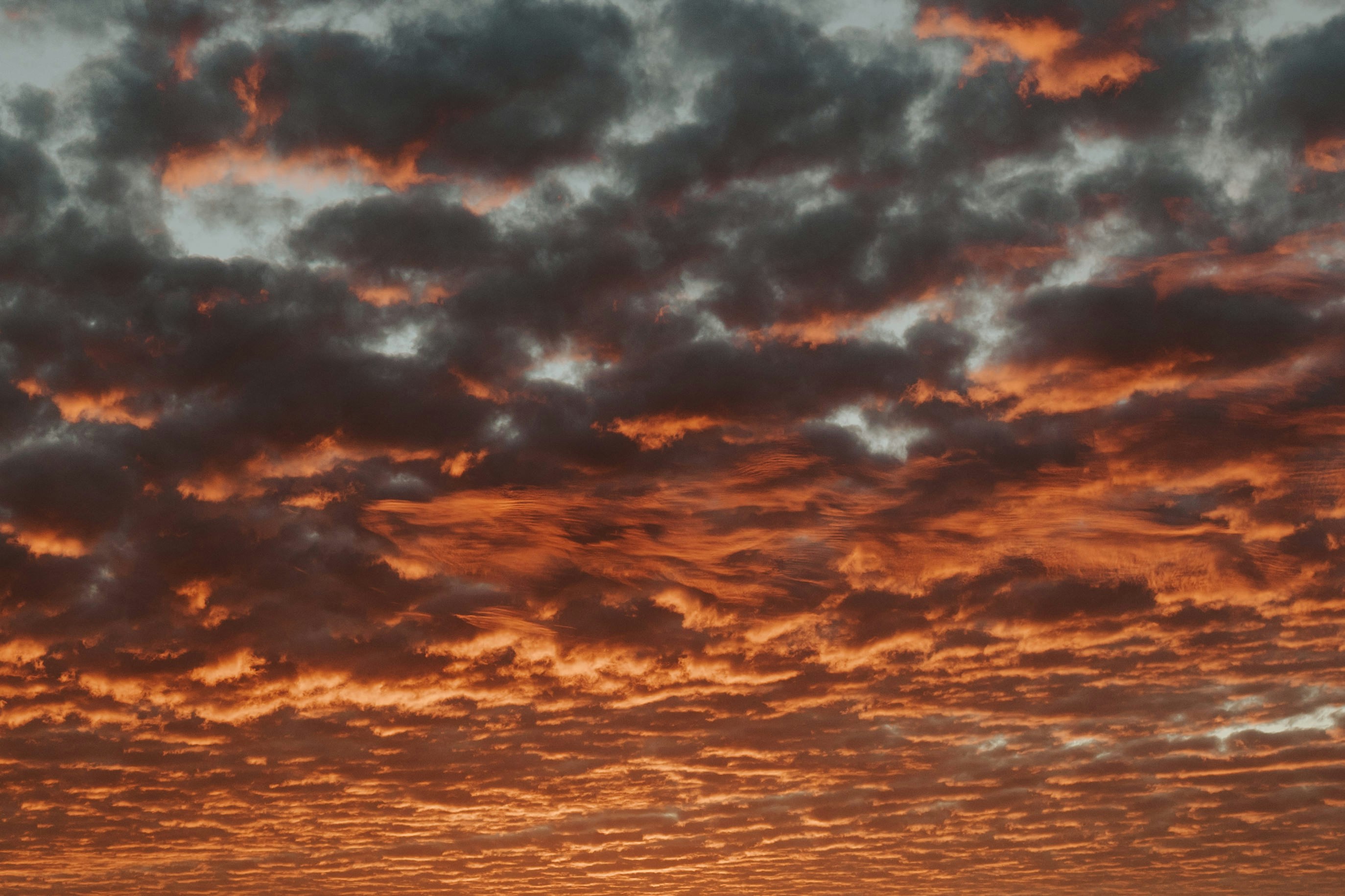 Photo by briannaparksphotography