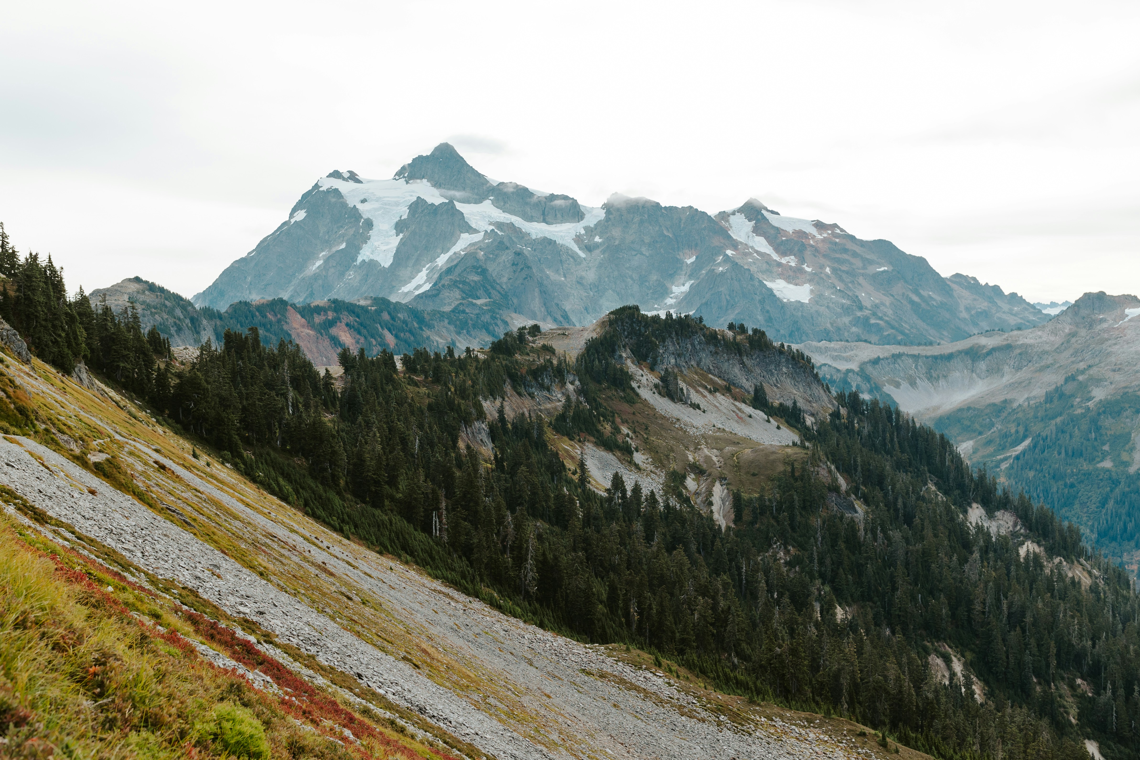 Photo by briannaparksphotography