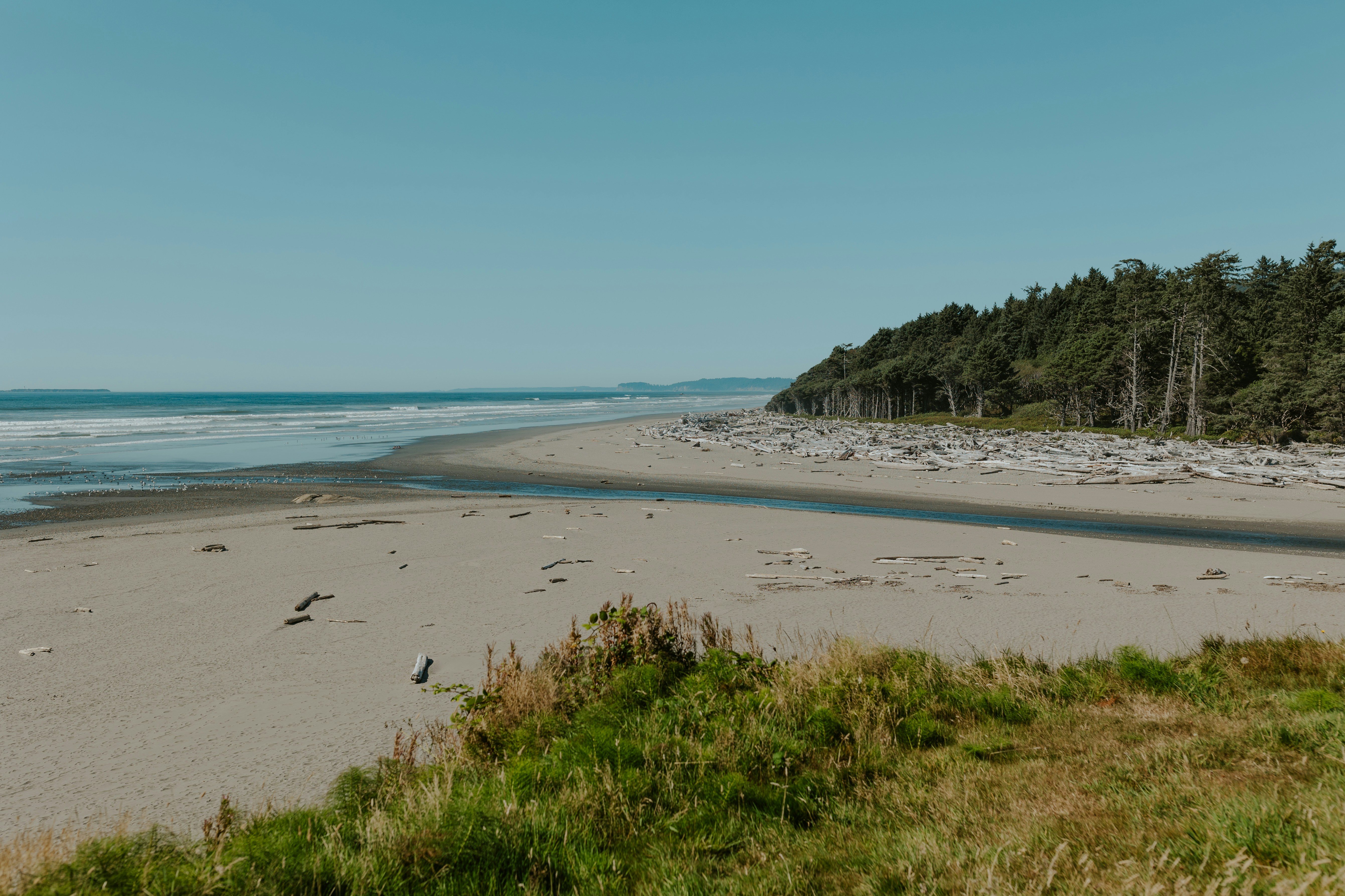 Photo by briannaparksphotography