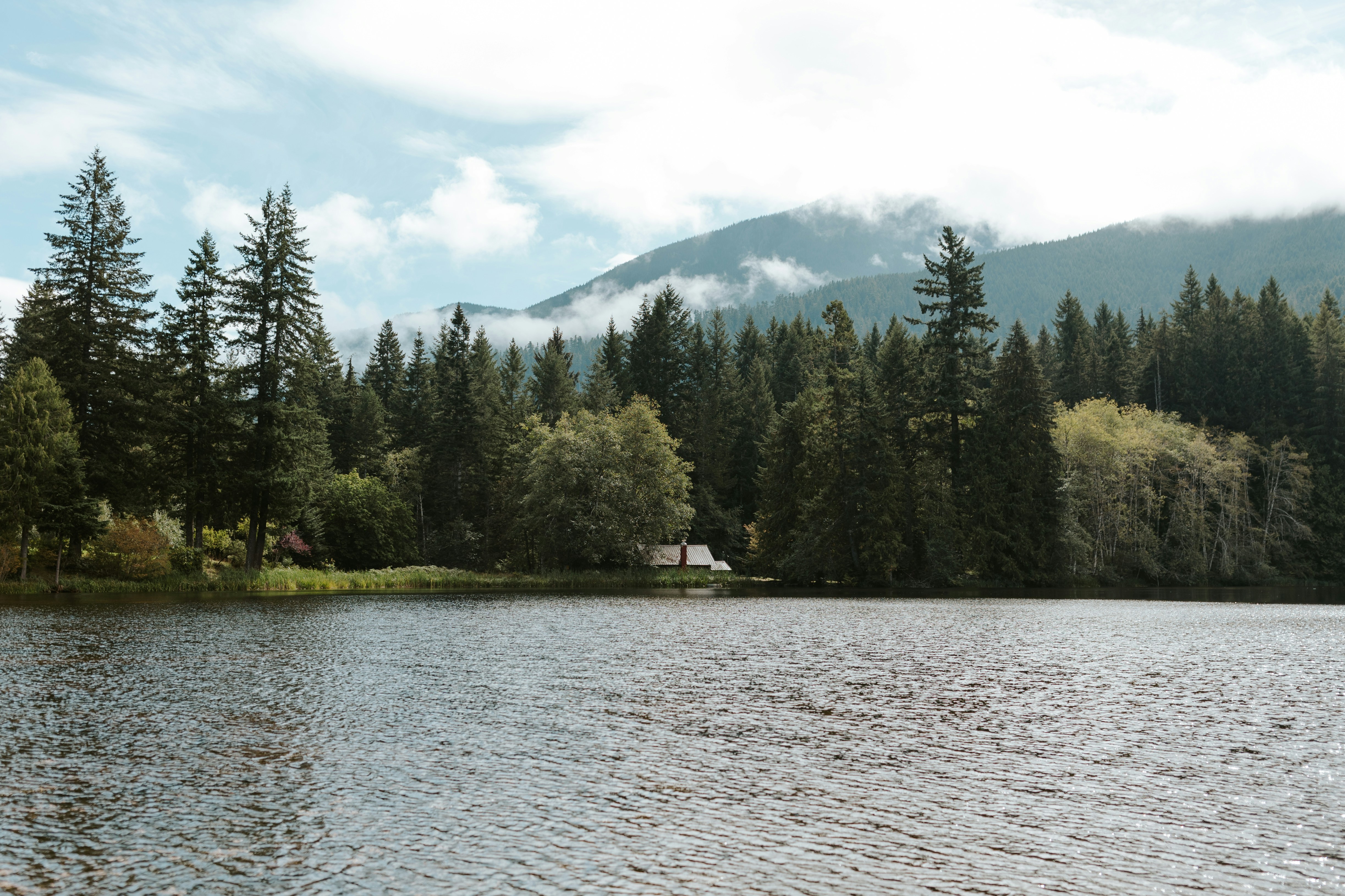 A body of water surrounded by trees and mountains photo Free Port