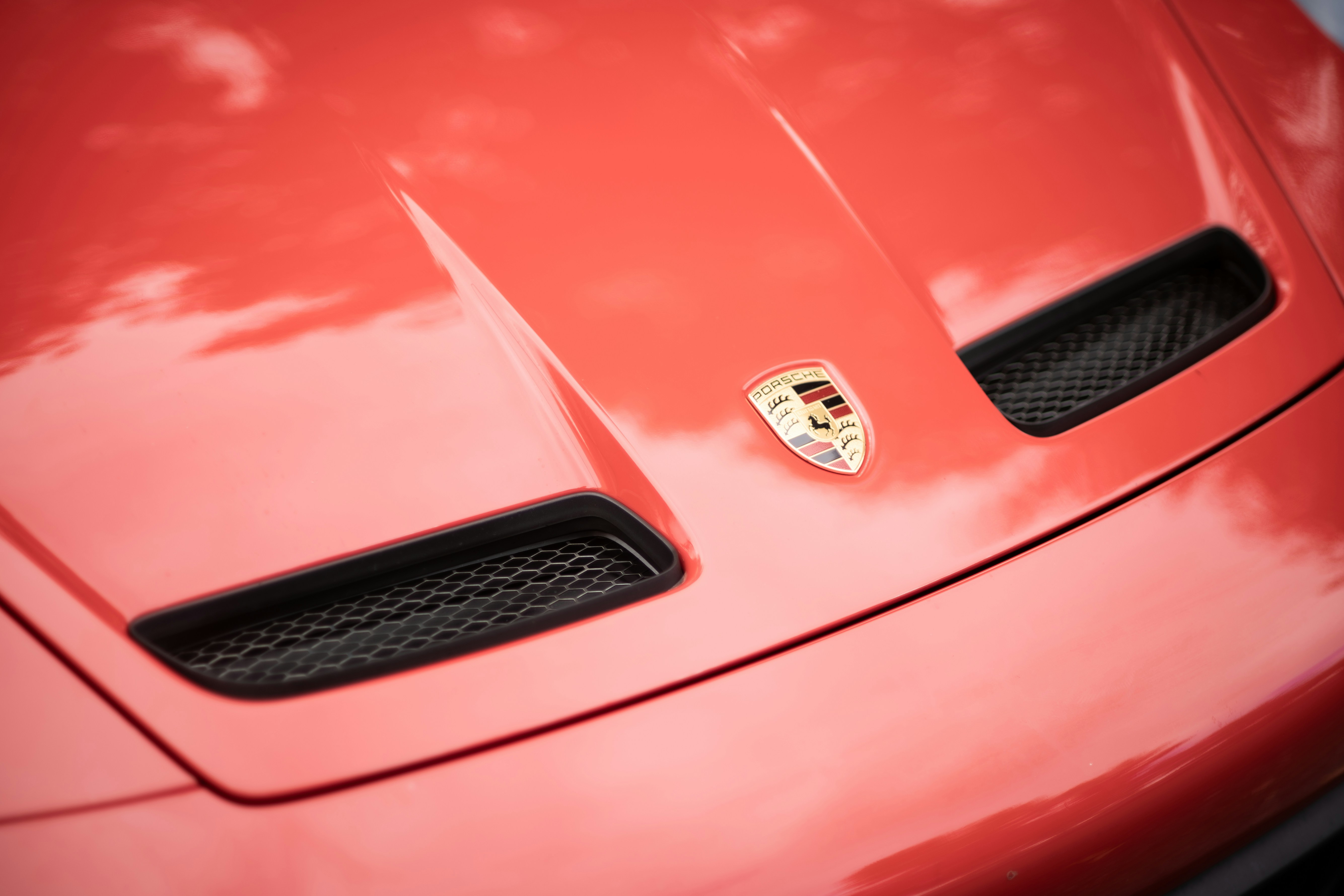 Photo by madeline_sd