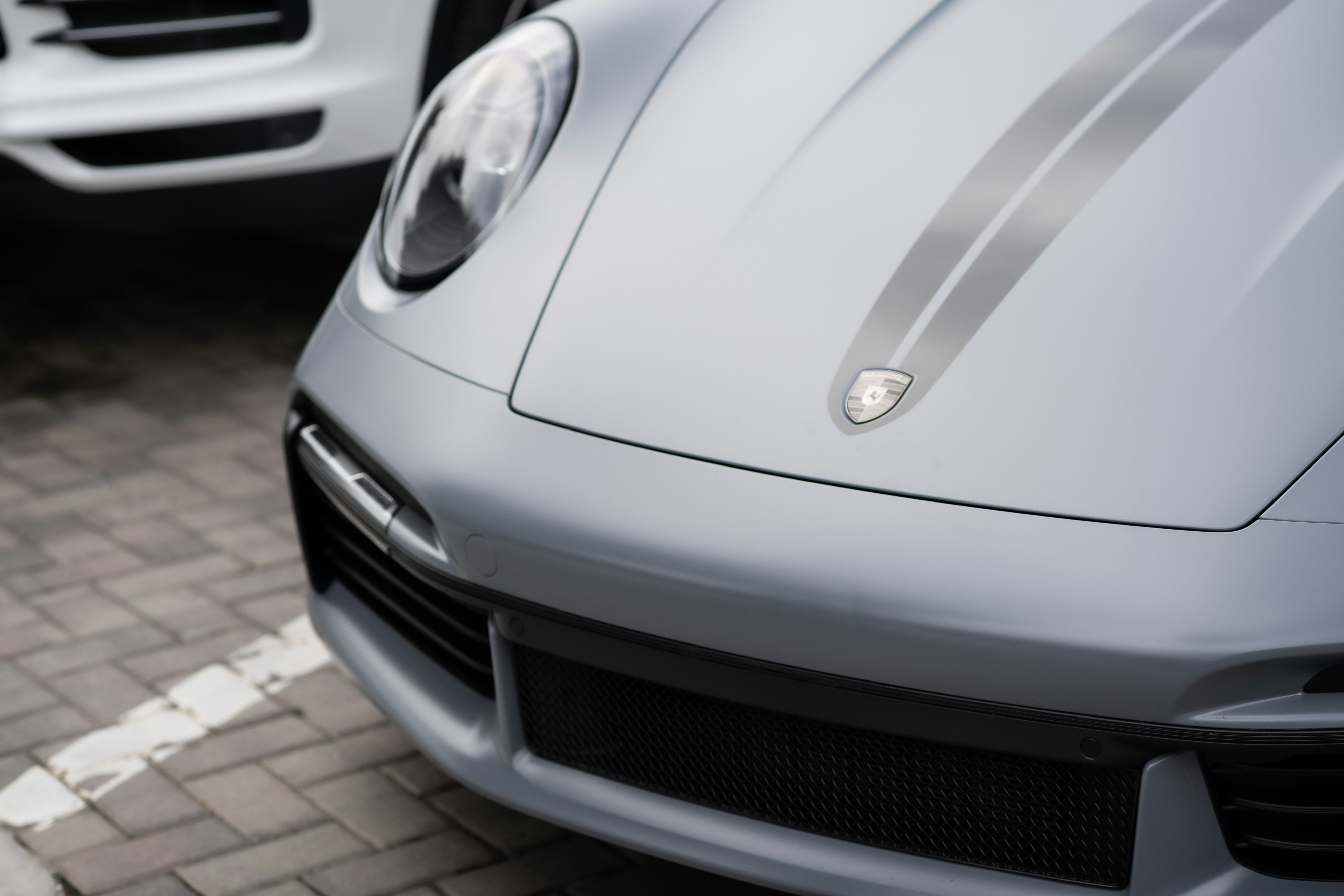 Photo by madeline_sd