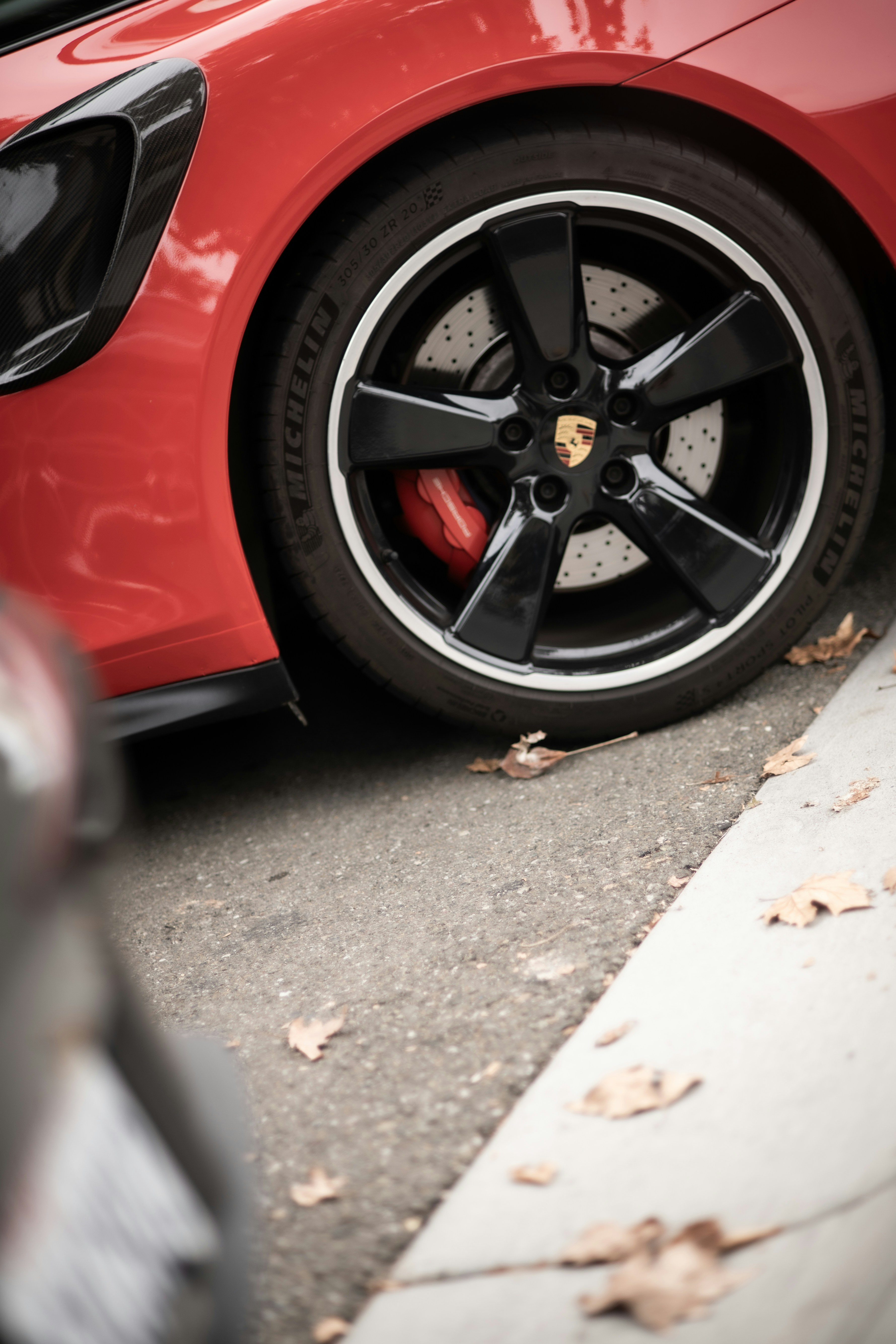 Photo by madeline_sd