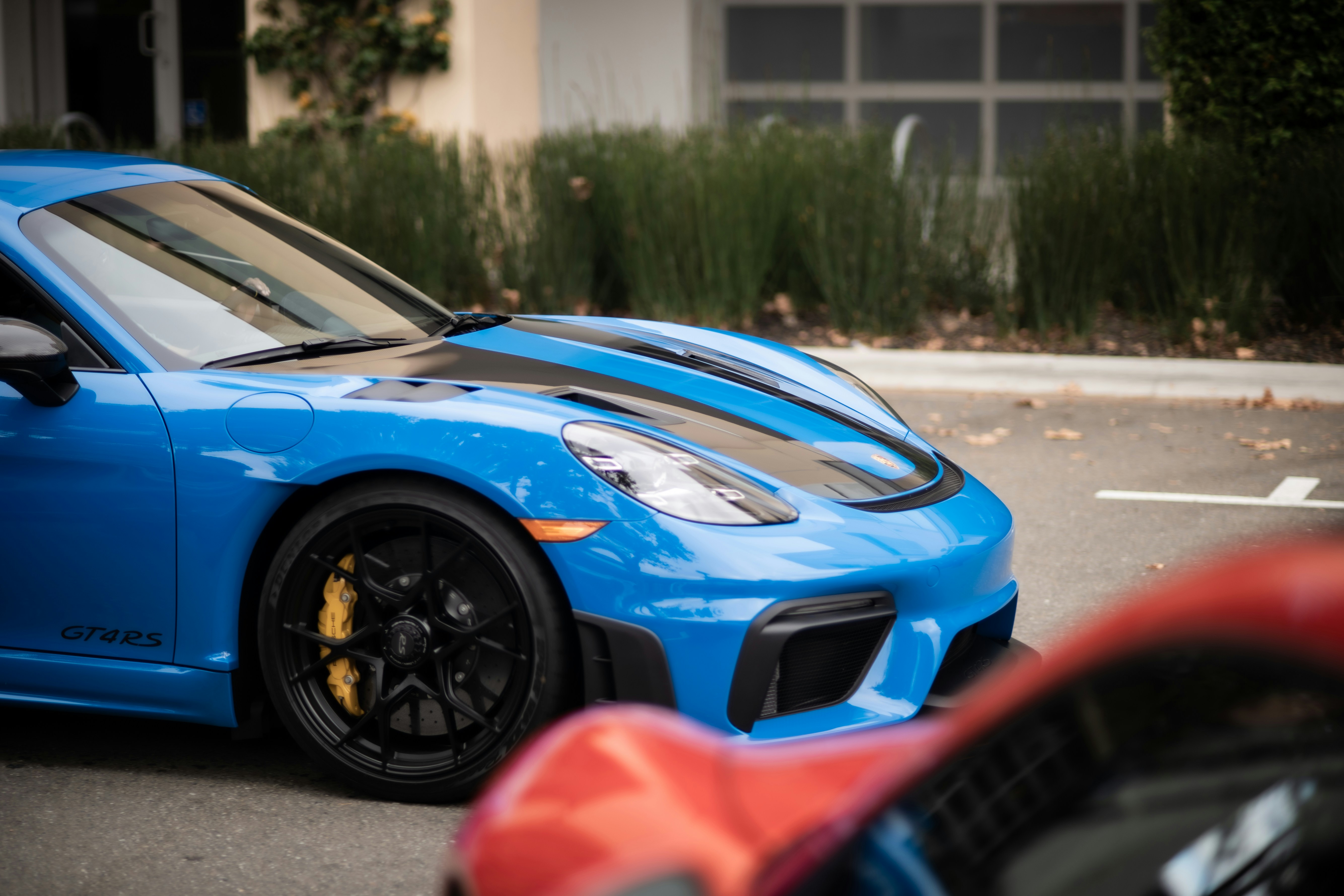 Photo by madeline_sd