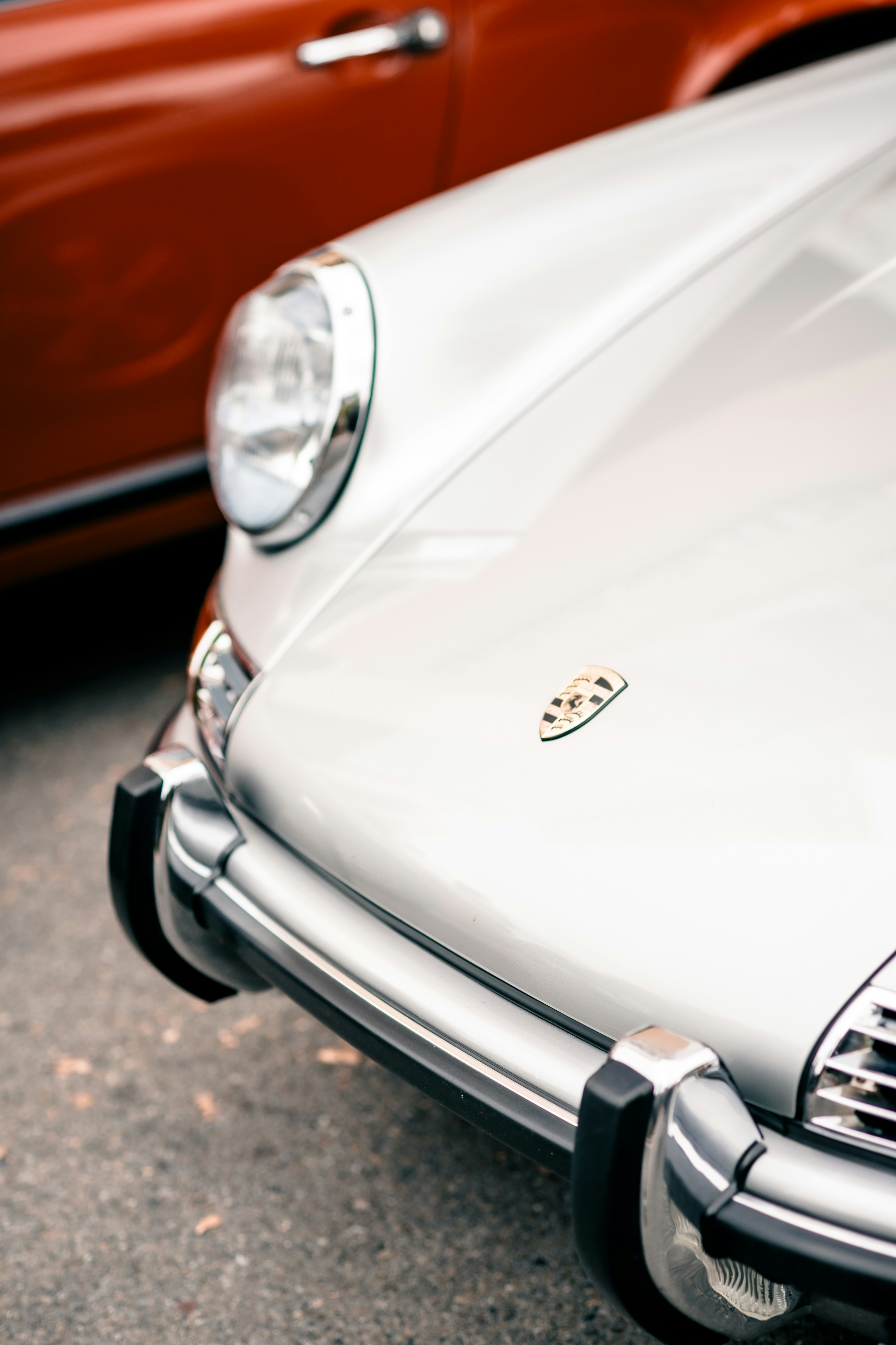 Photo by madeline_sd