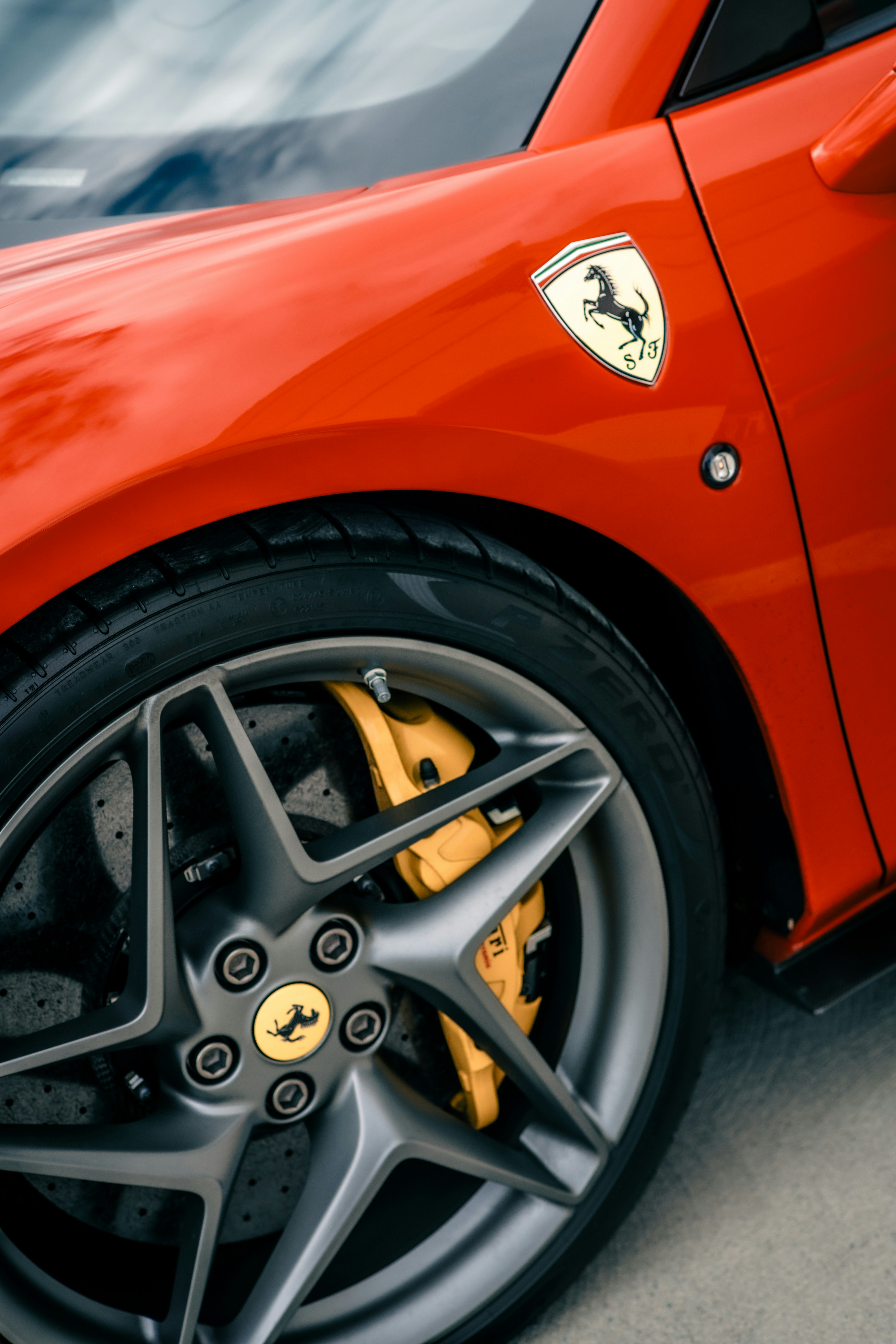 Photo by madeline_sd