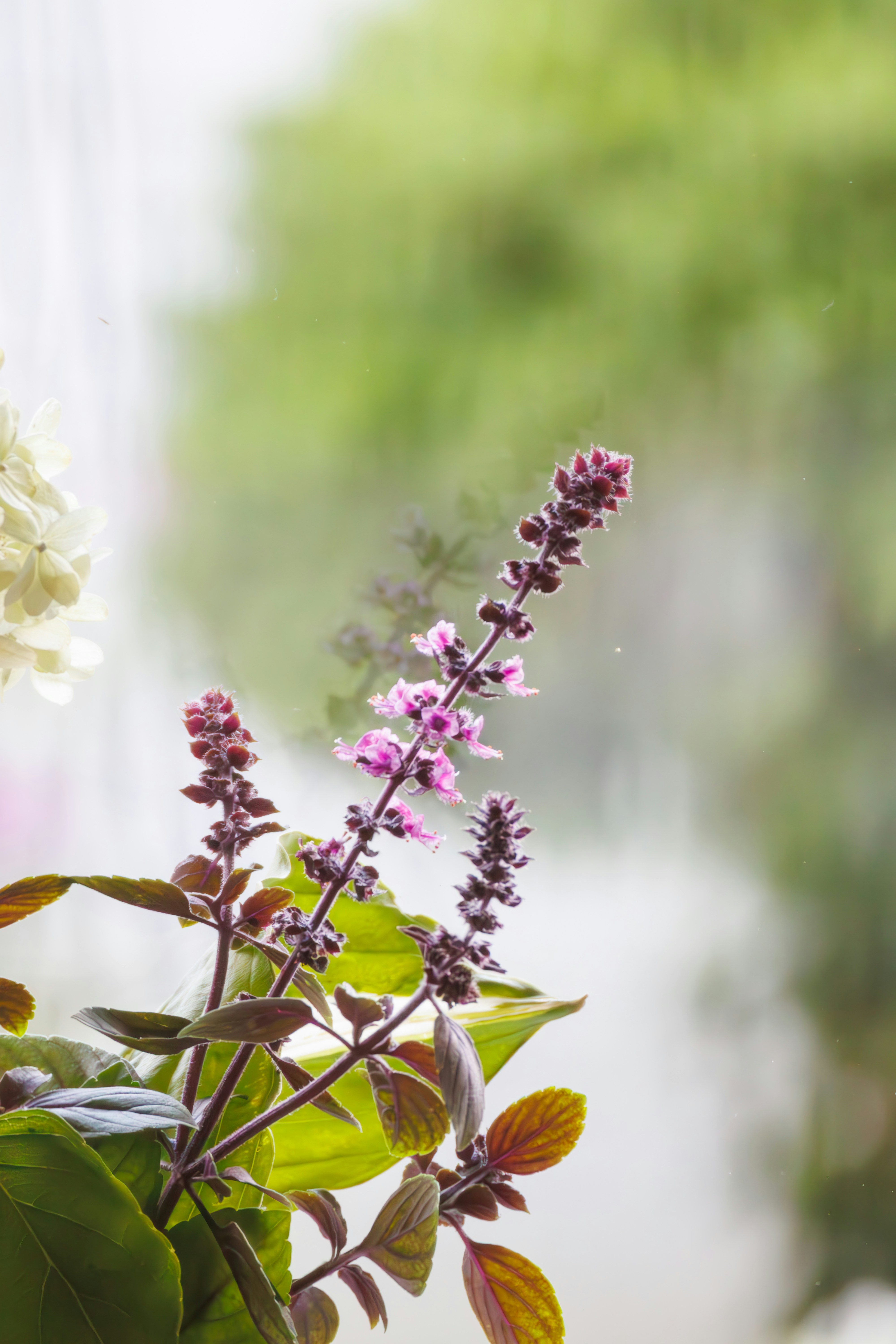 Photo by stockbirken