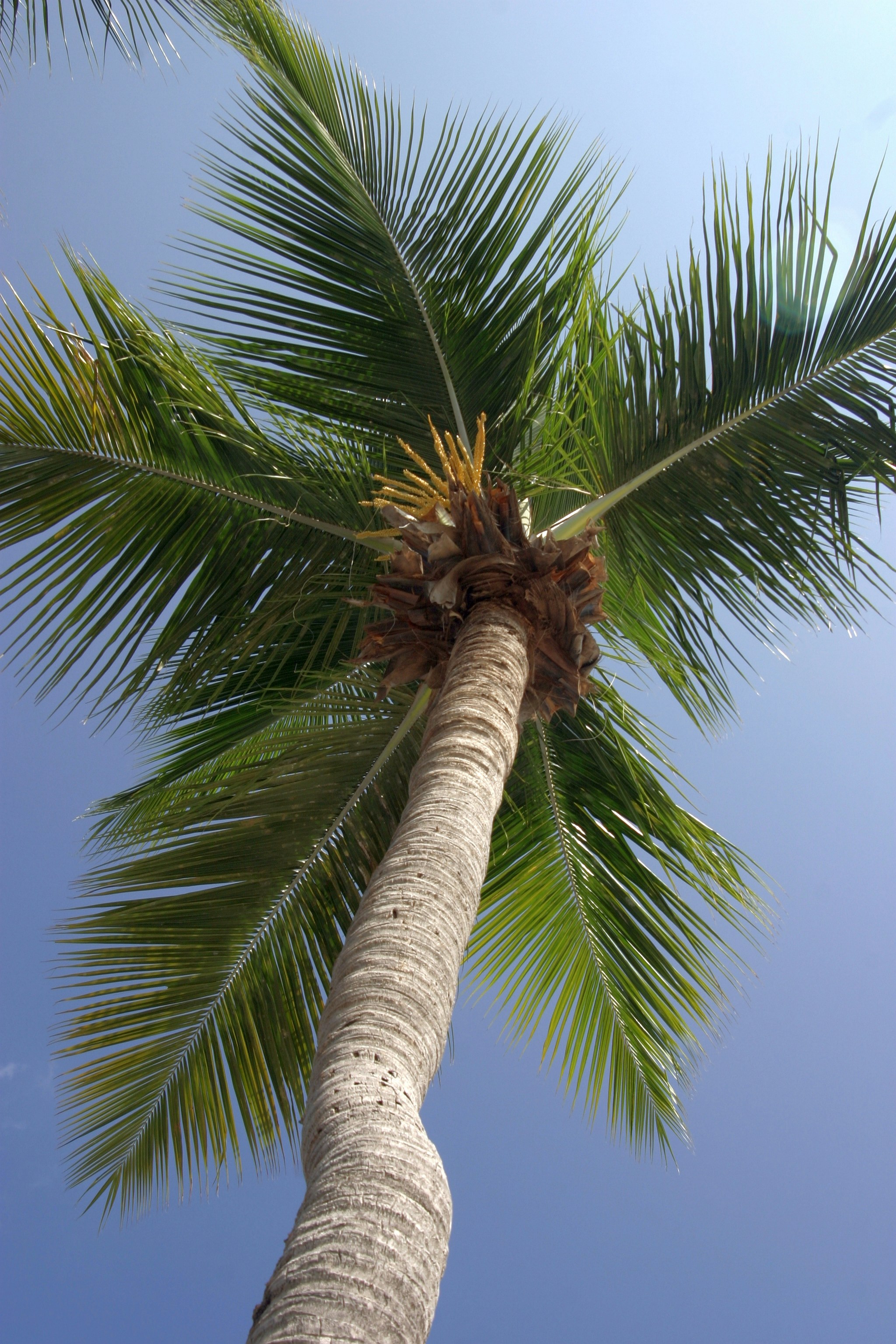 Photo by climatechangevi