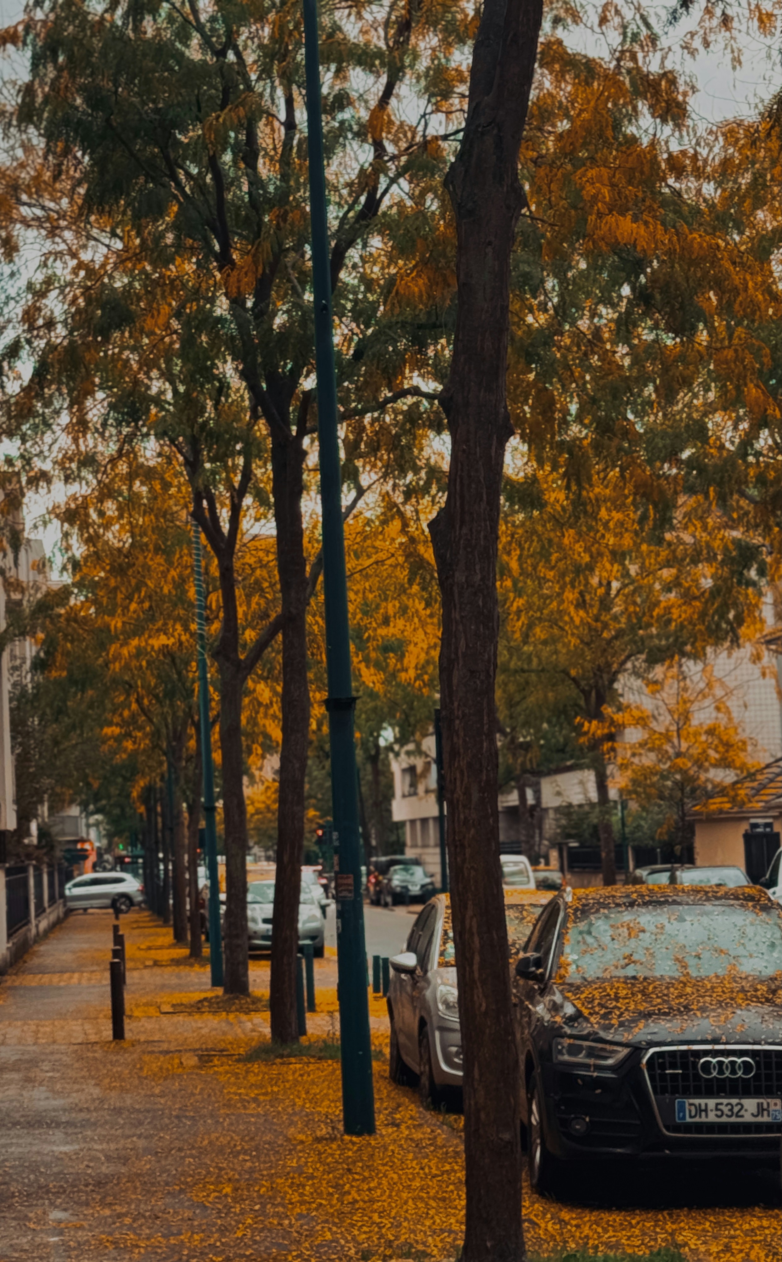 A black car parked on the side of a road