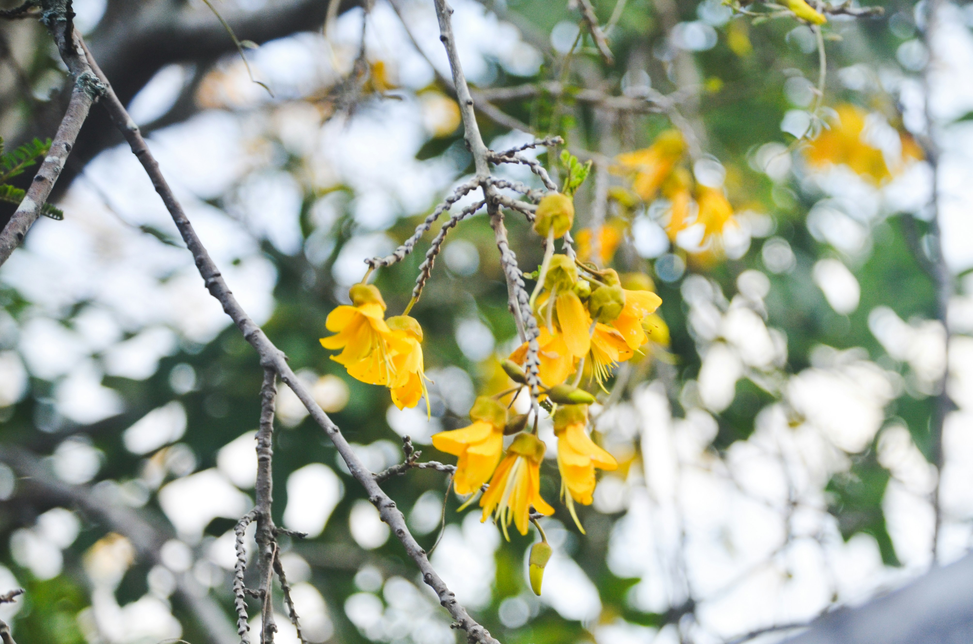 Photo by manuelajohnston