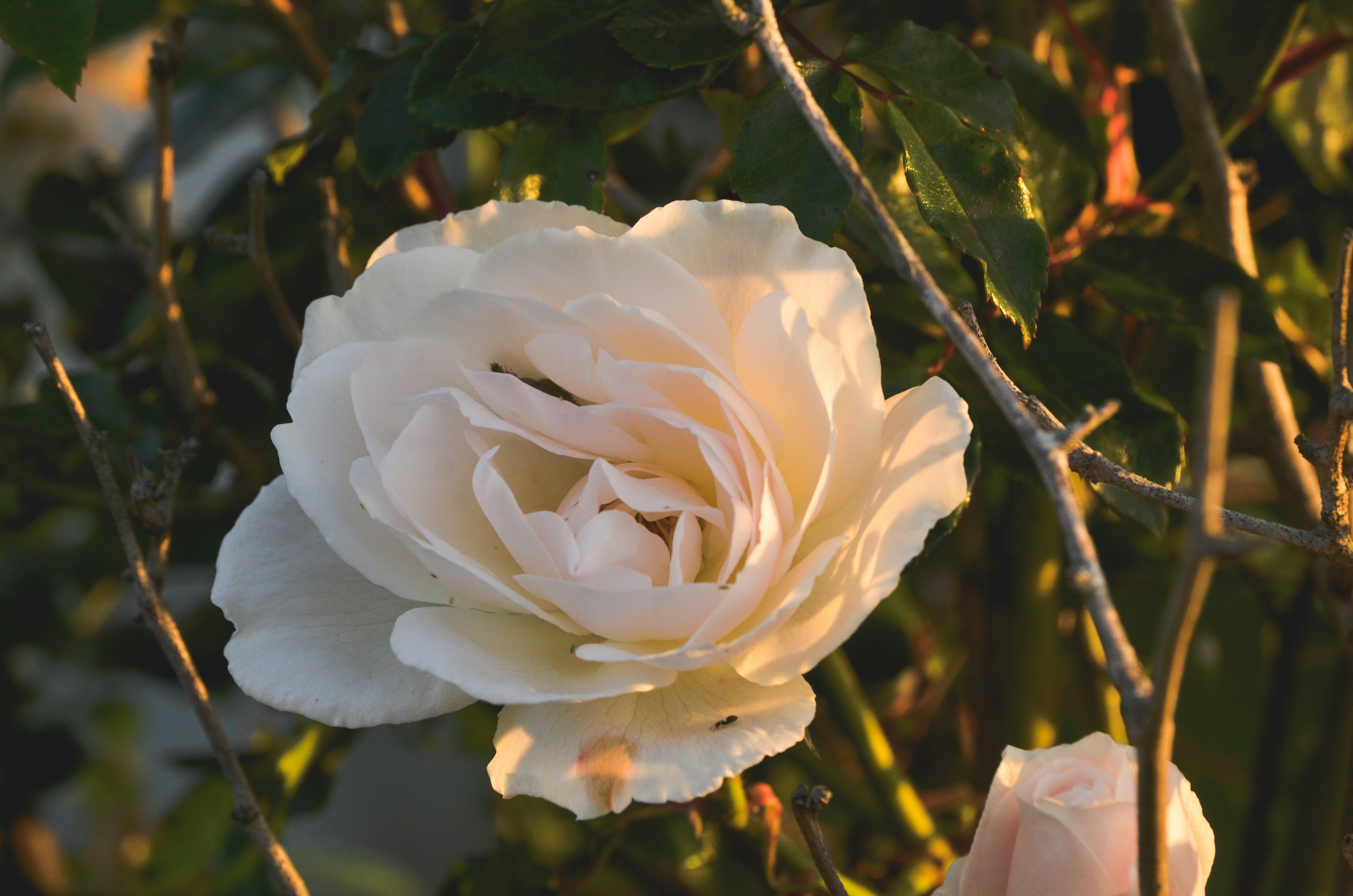 Photo by manuelajohnston