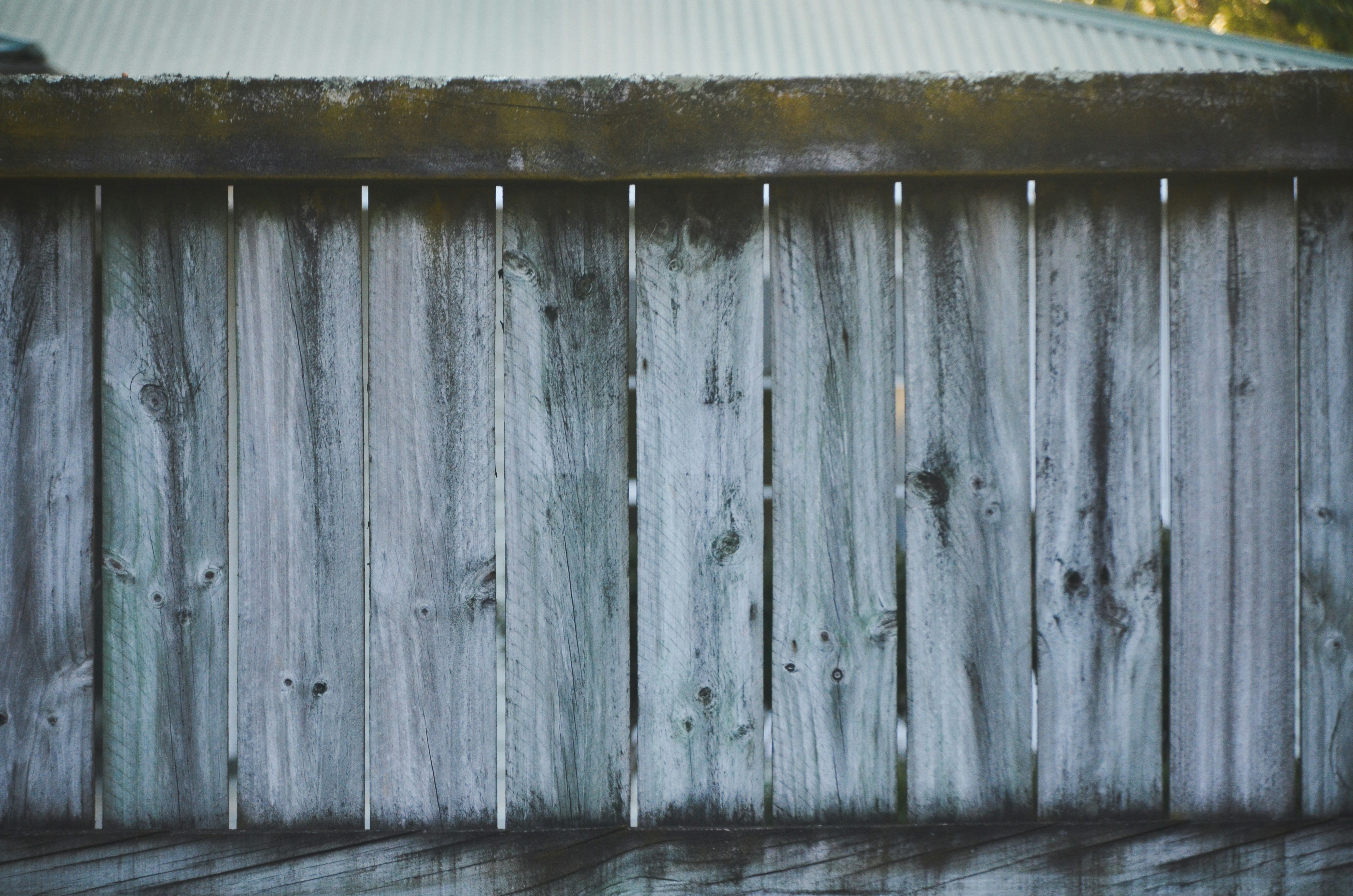 A cat sitting on top of a wooden fence