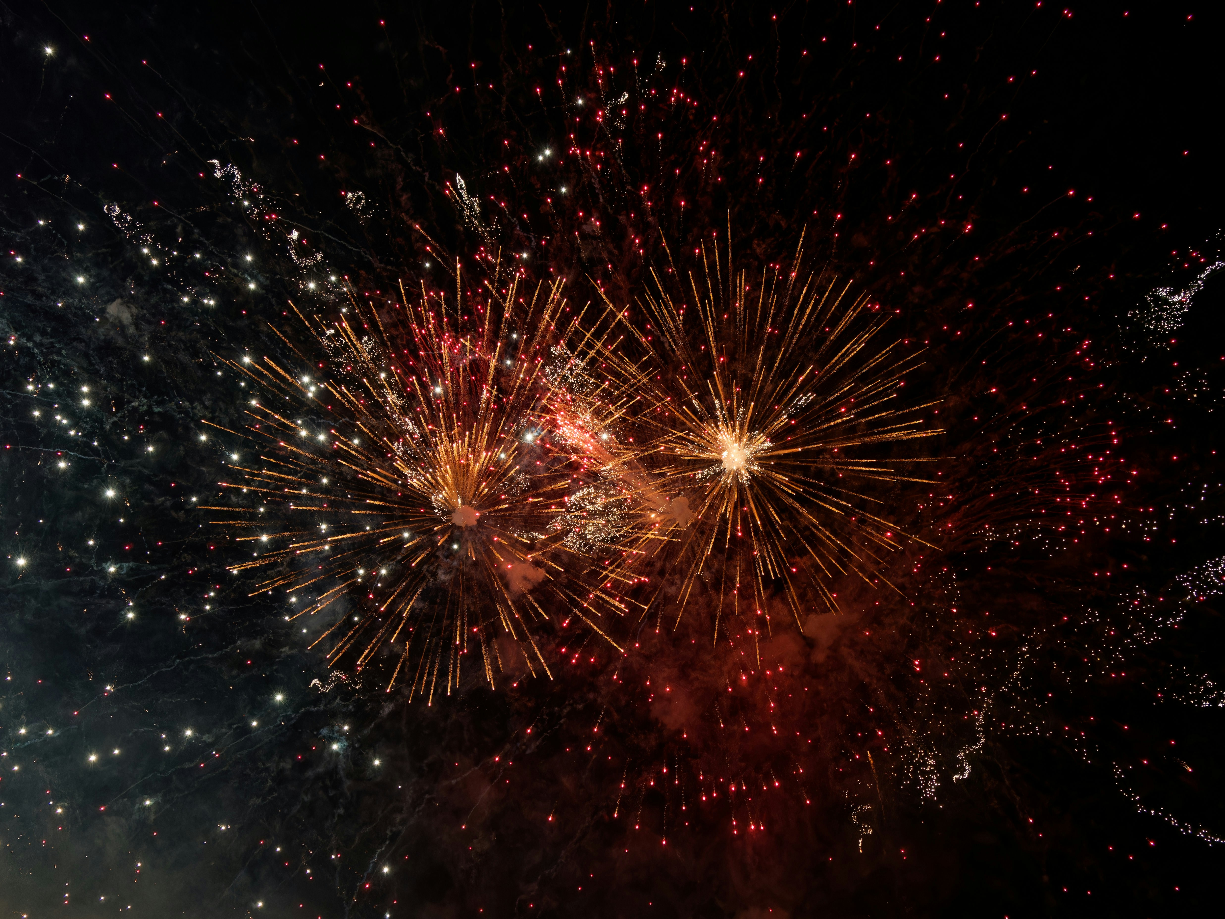 신형 모델 Y 롱레인지의 출력은 몇 마력인가요?