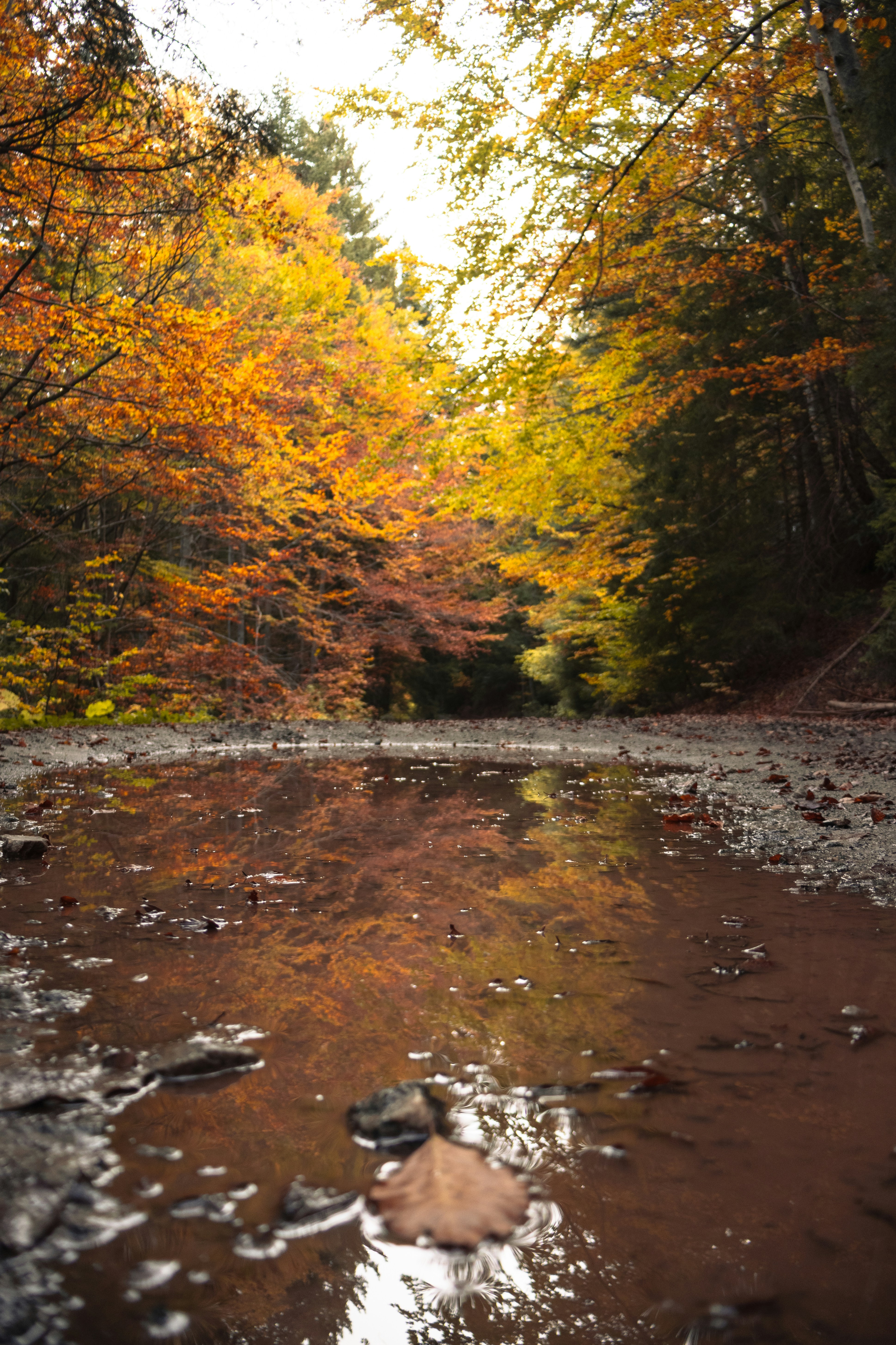 Photo by michael_surazhsky