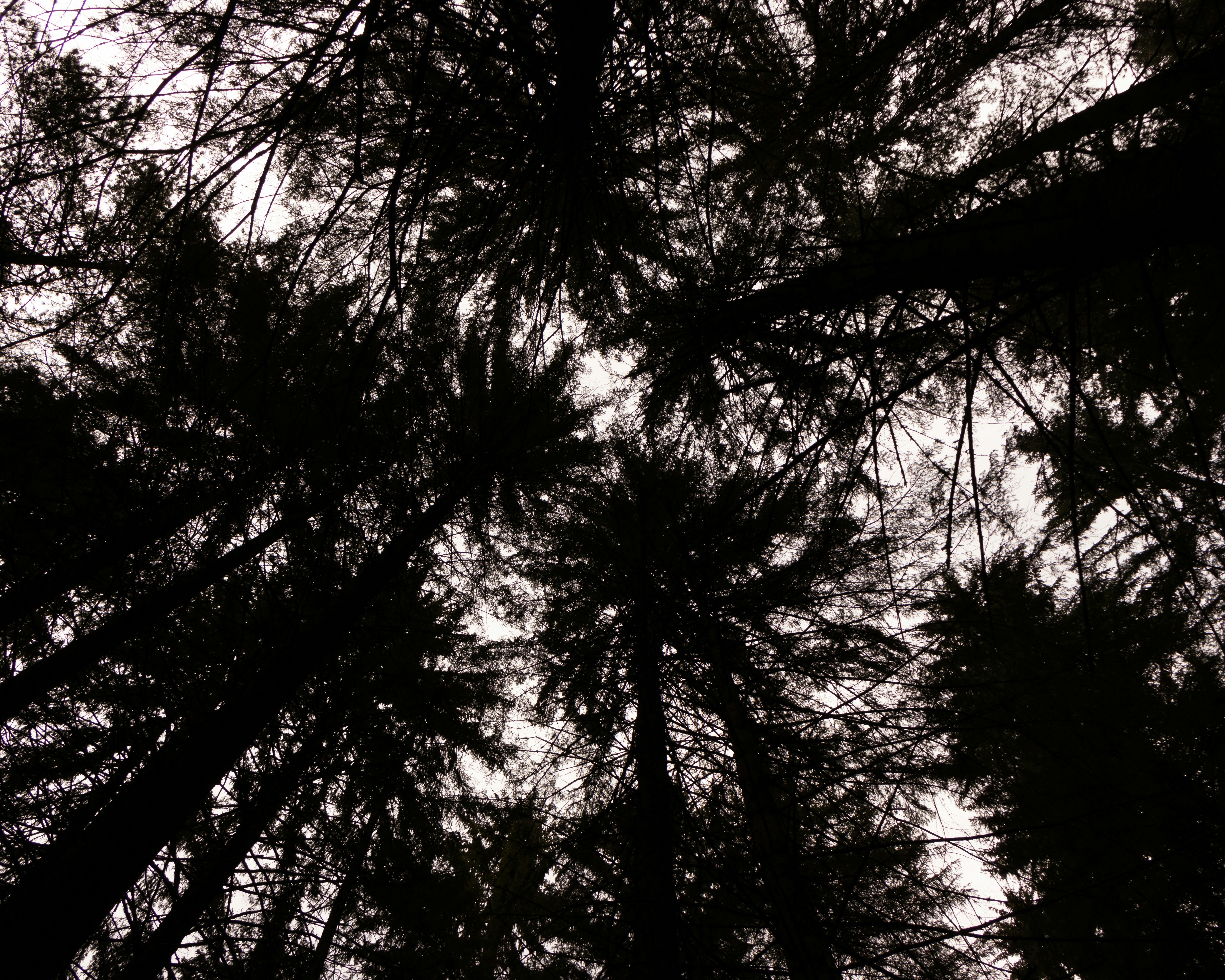 Photo by michael_surazhsky