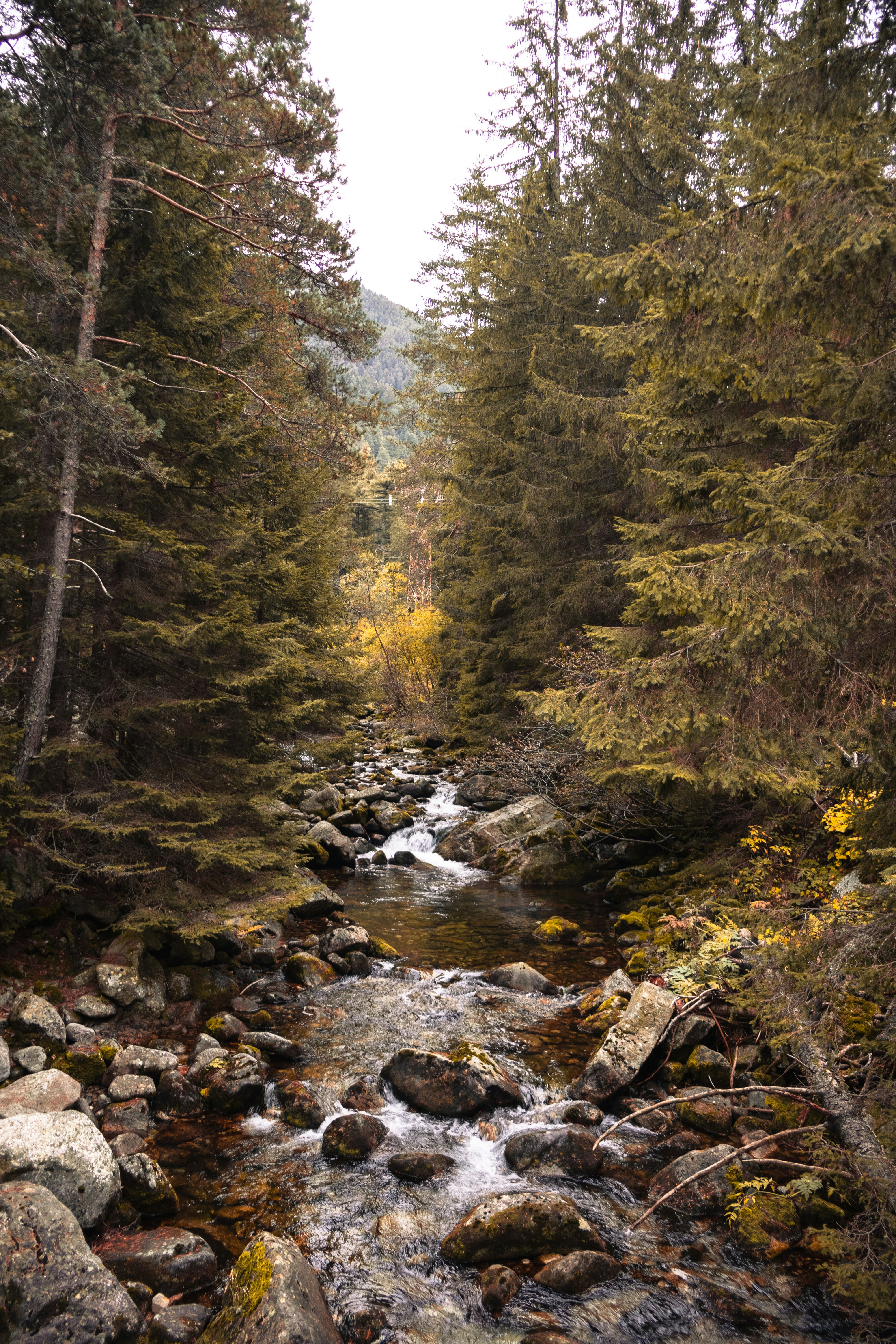 Photo by michael_surazhsky