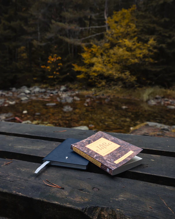 A book sitting on top of a wooden bench