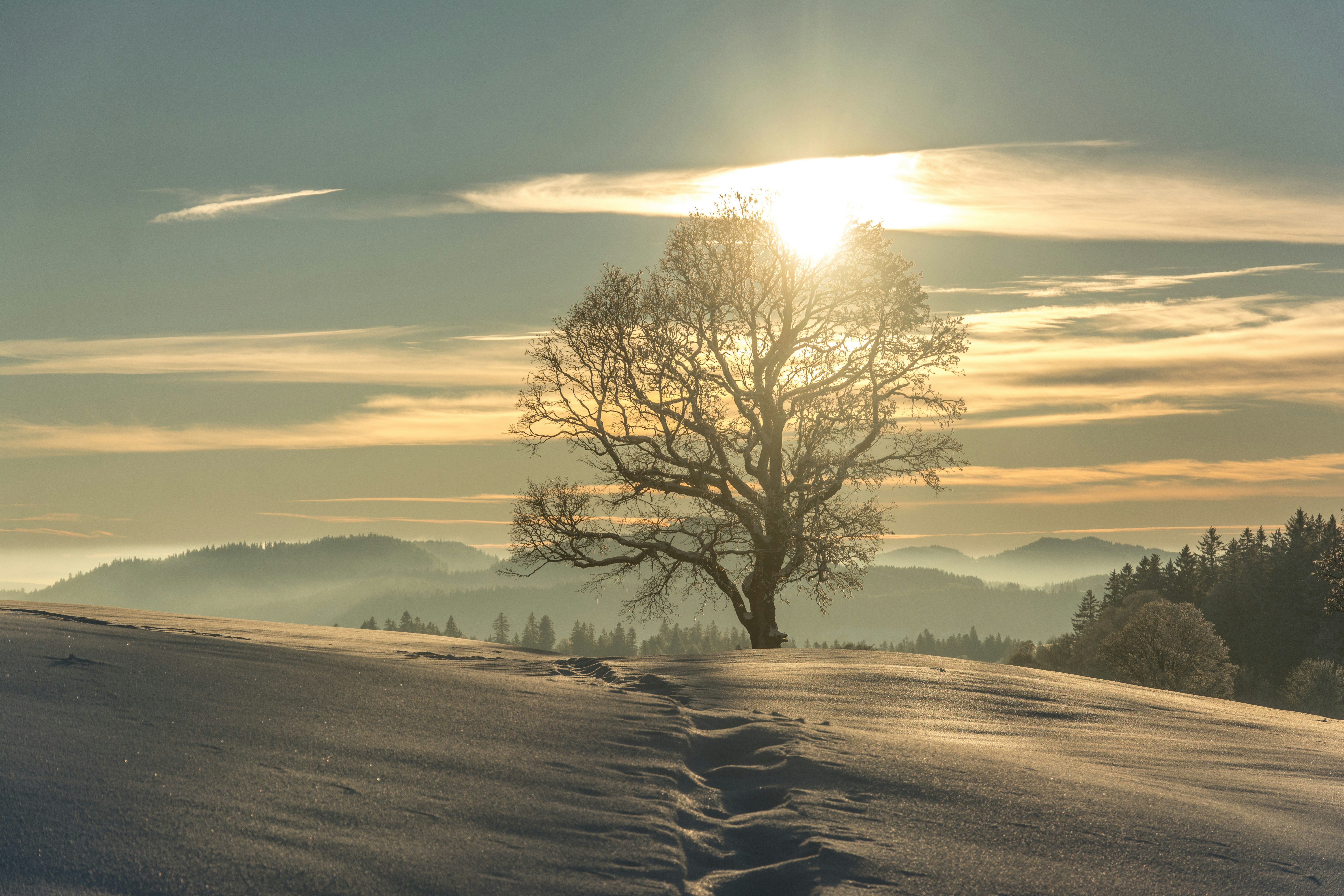 Image de David Guetta Embrasse le Futur avec sa Nouvelle Résidence à UNVRS Ibiza