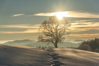 positiv'in coaching de vie psychologie positive objectif changement bonheur résilience