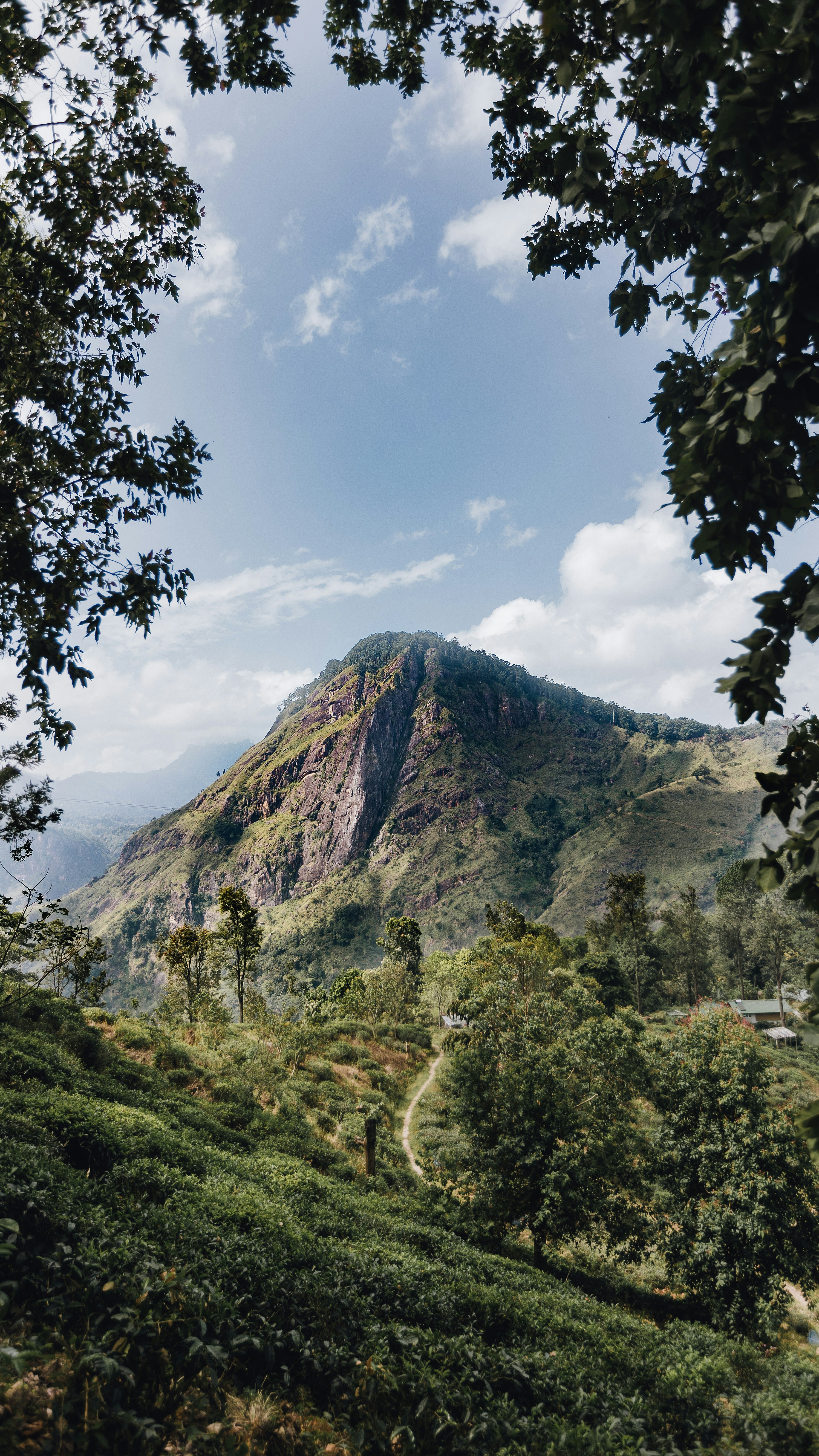 A view of a mountain in the distance