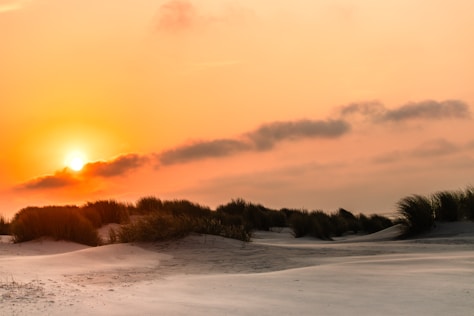 Wanneer je  hulp nodig hebt, neem contact op. Mirjam Toet, coaching en therapie