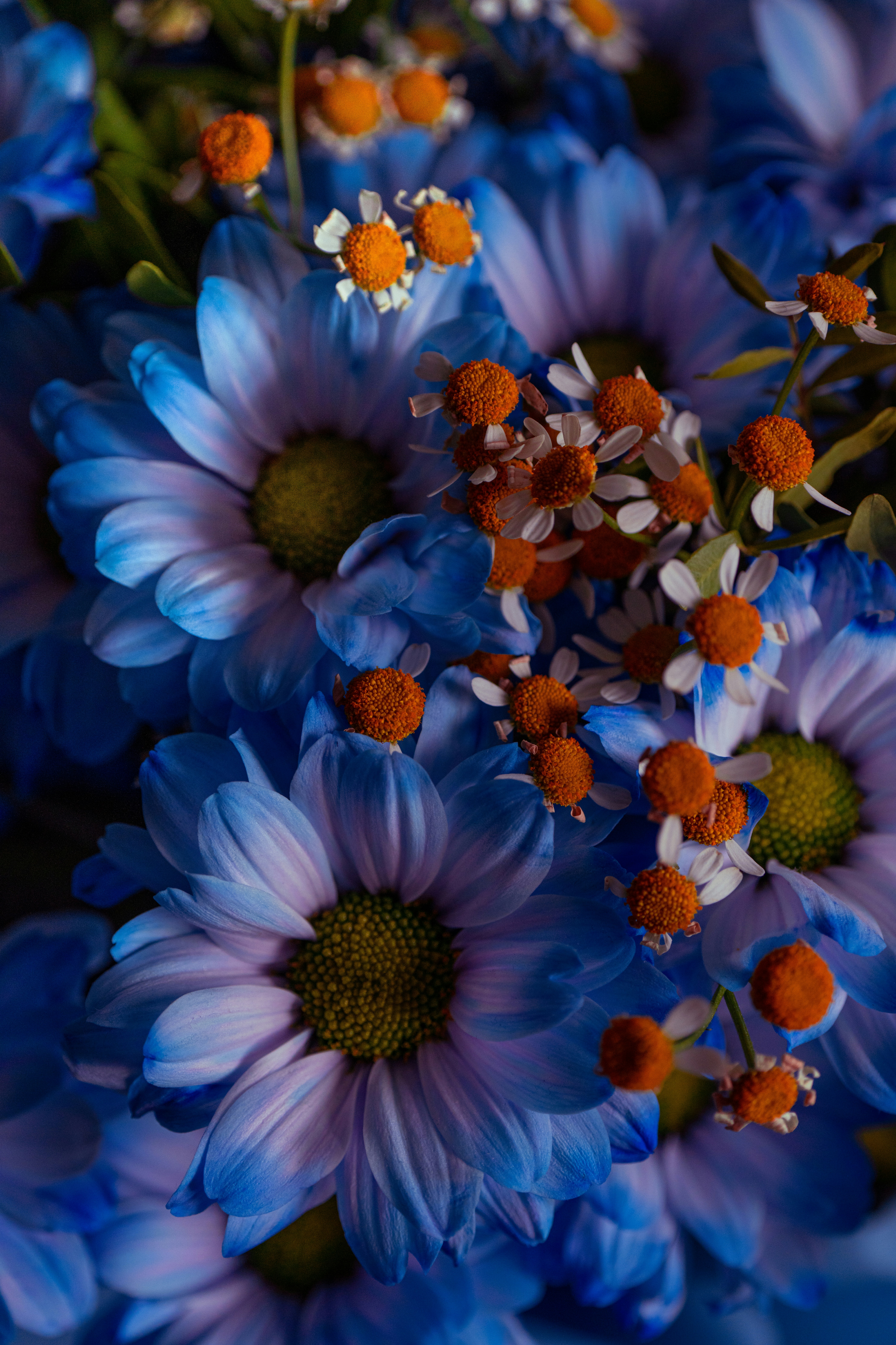 Photo by hellaren