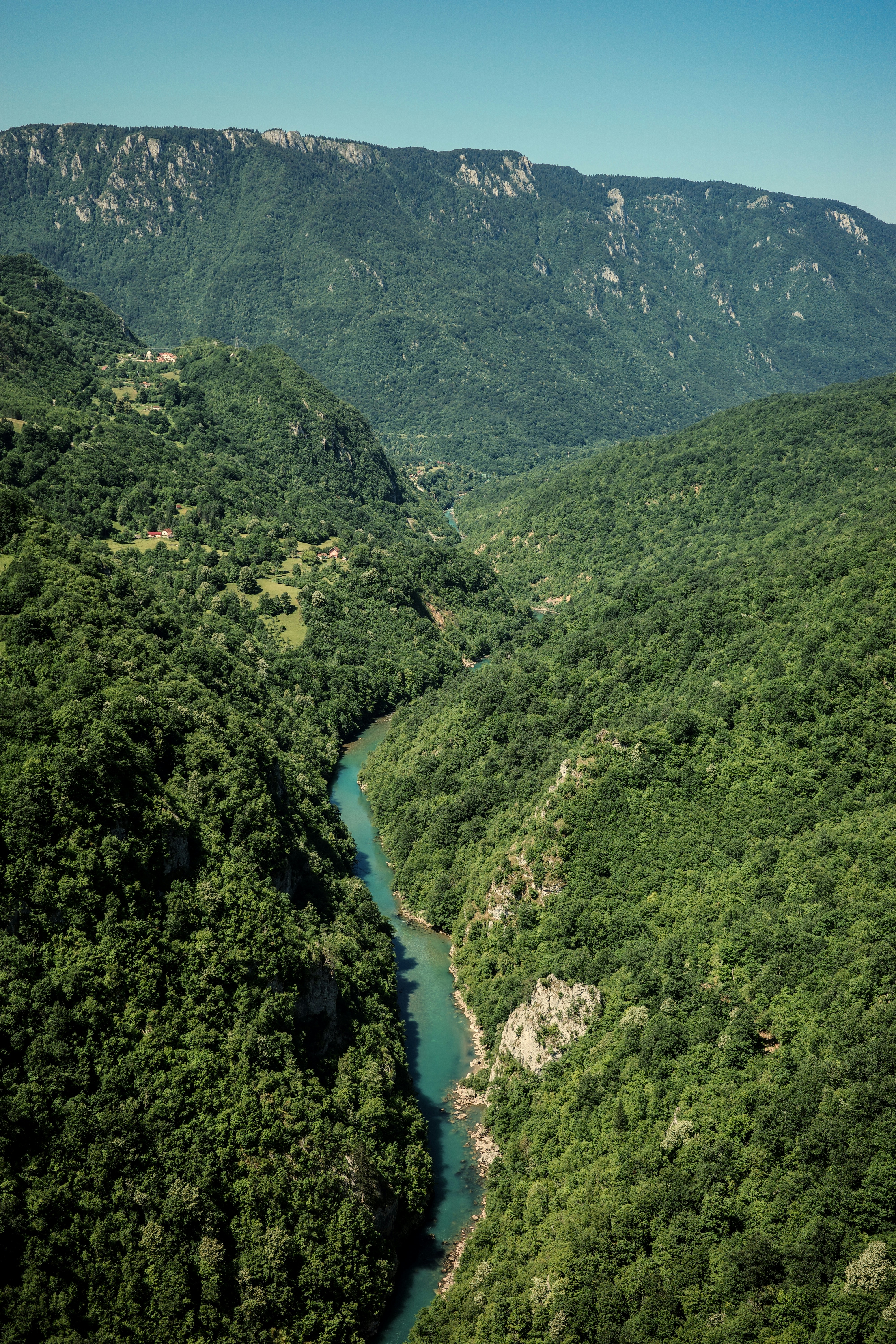 Photo by dmitrii_filatov