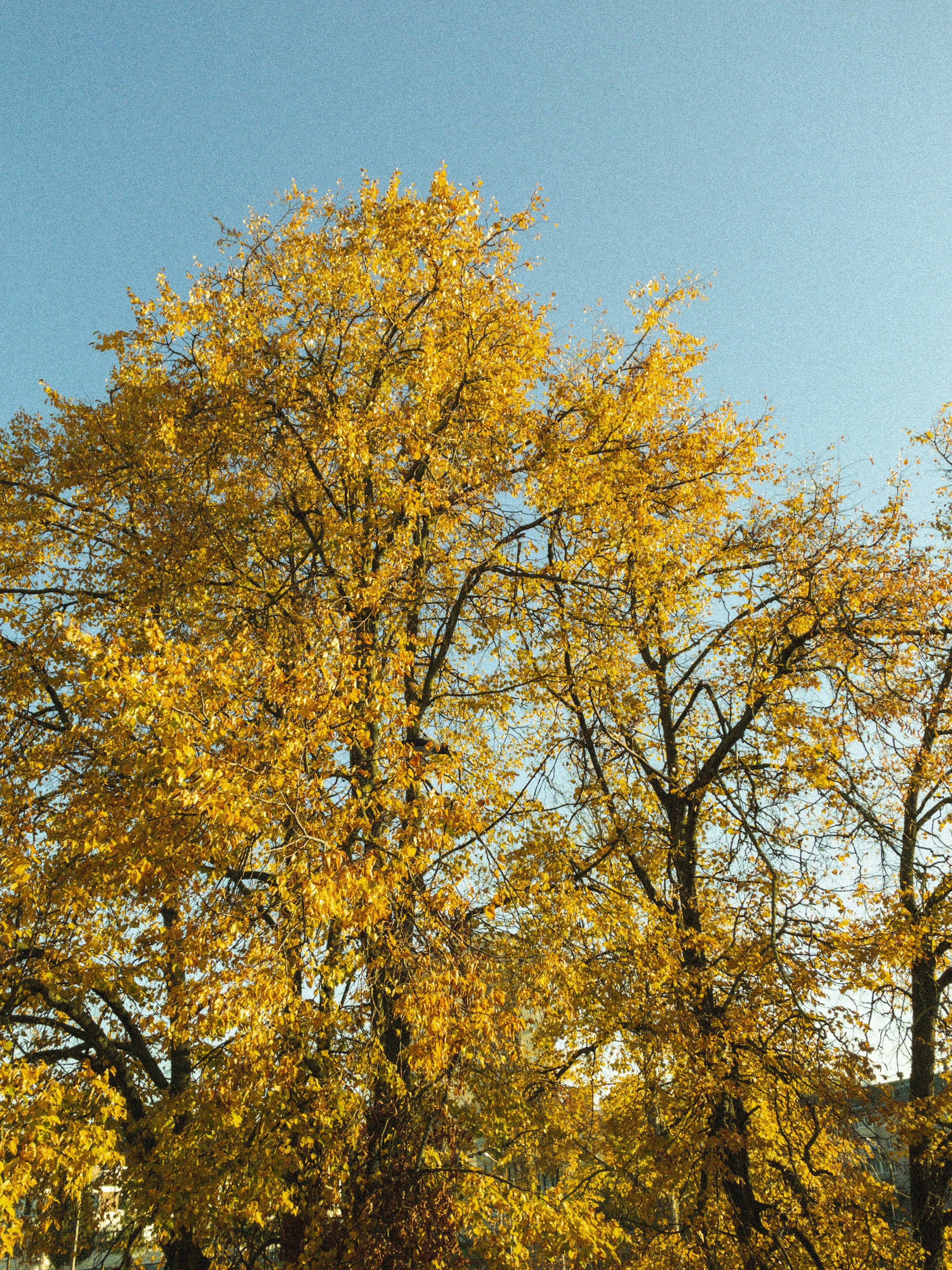 Photo by whodatneket