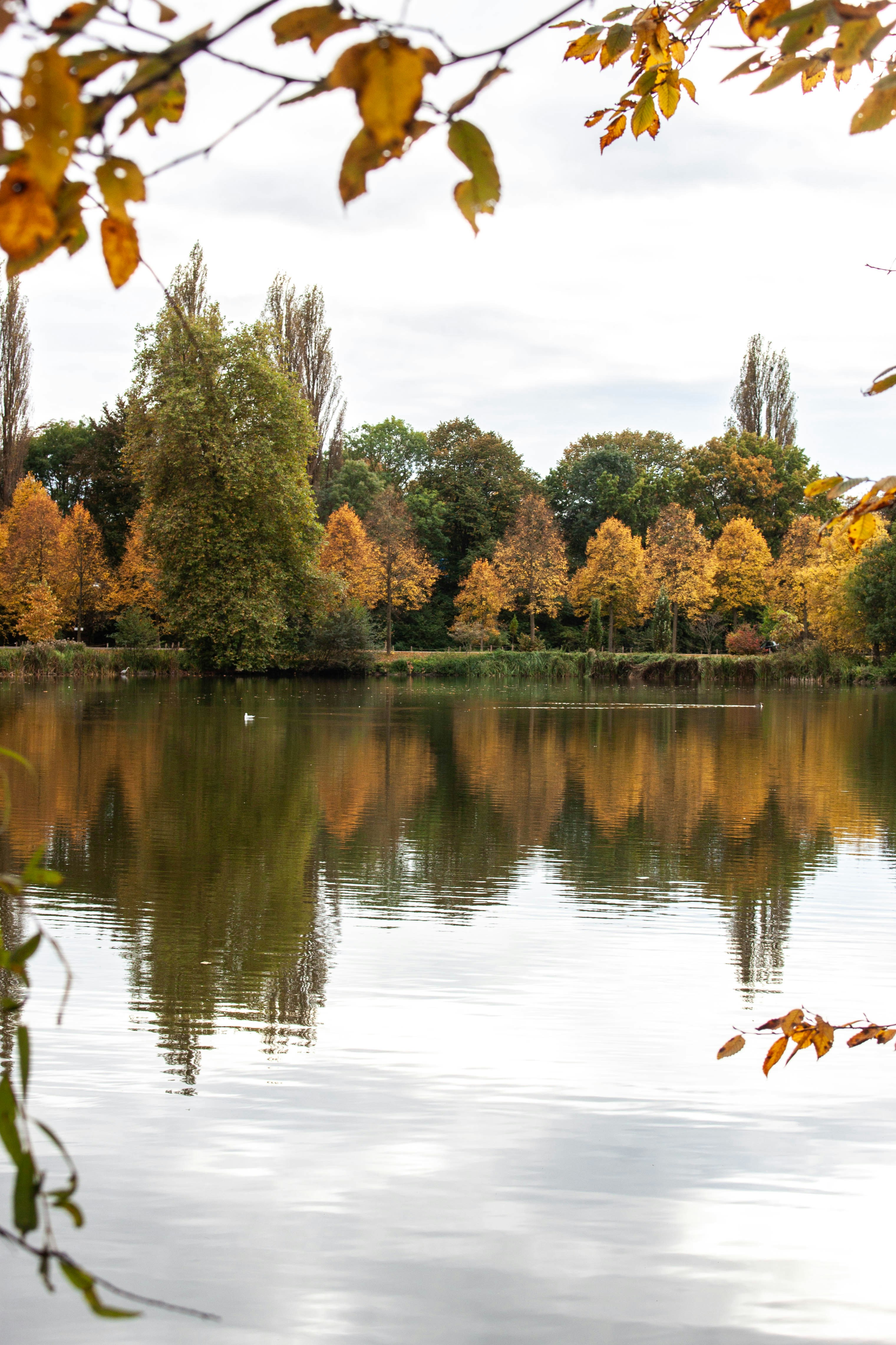 Photo by kamillaisalieva