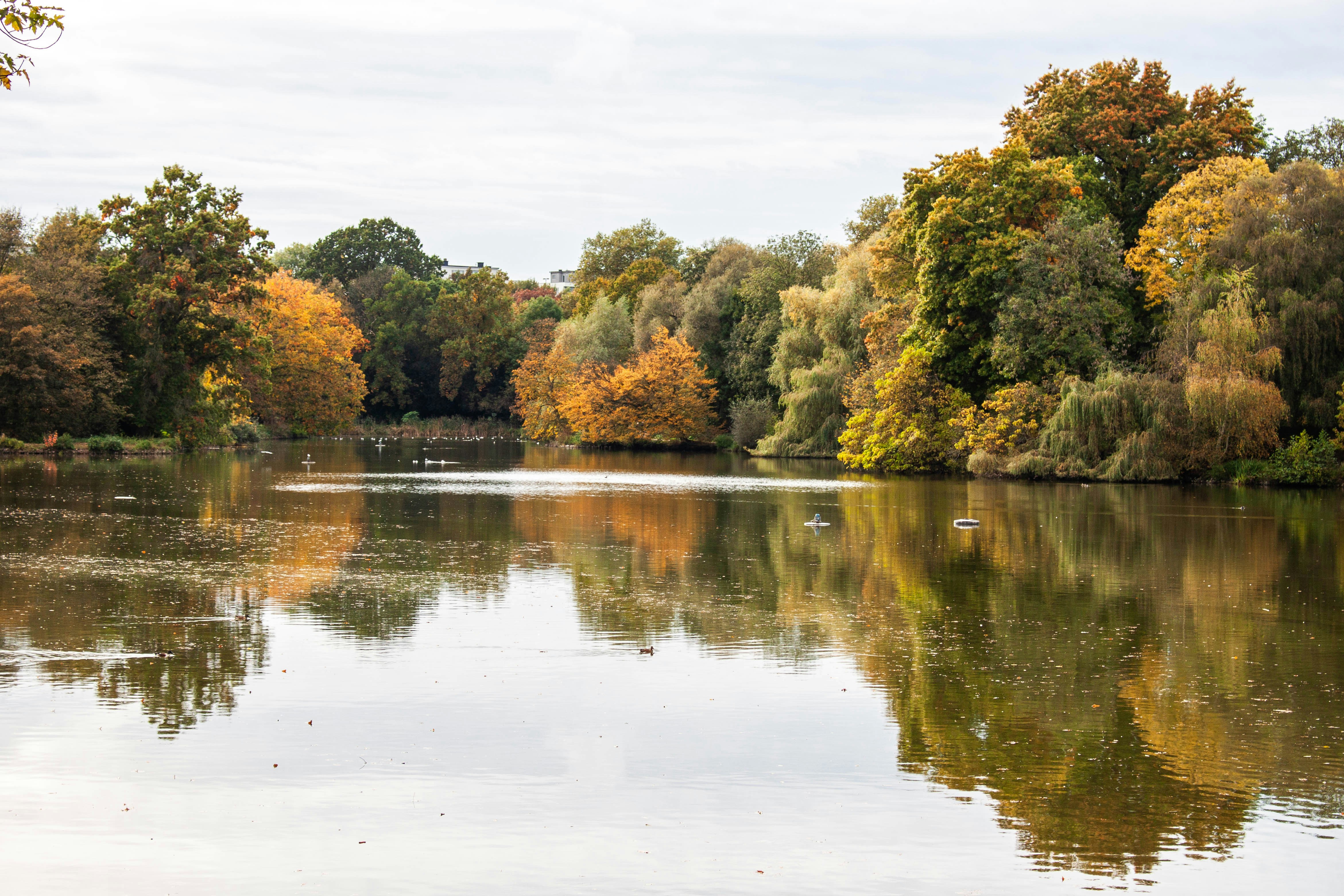 Photo by kamillaisalieva