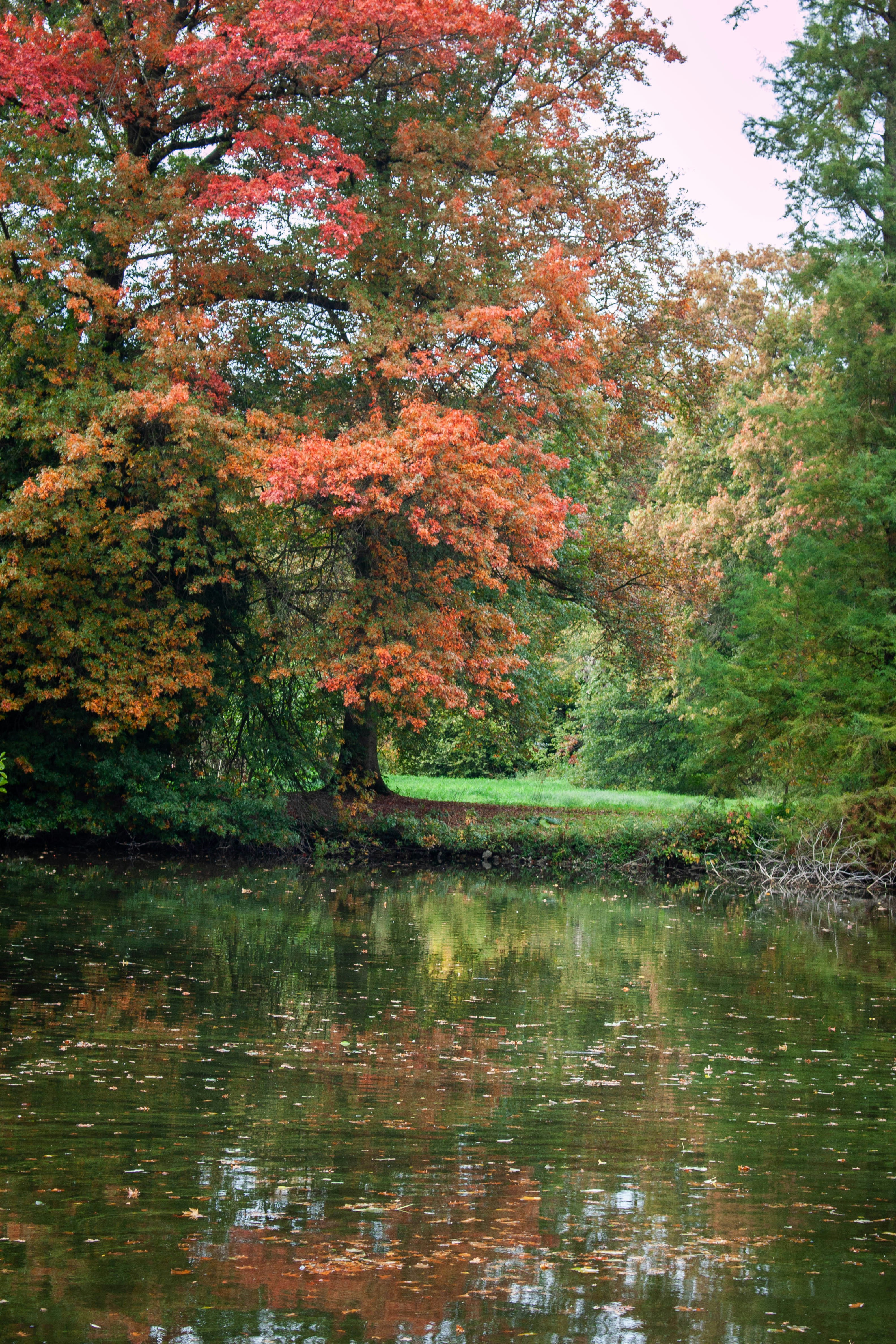 Photo by kamillaisalieva