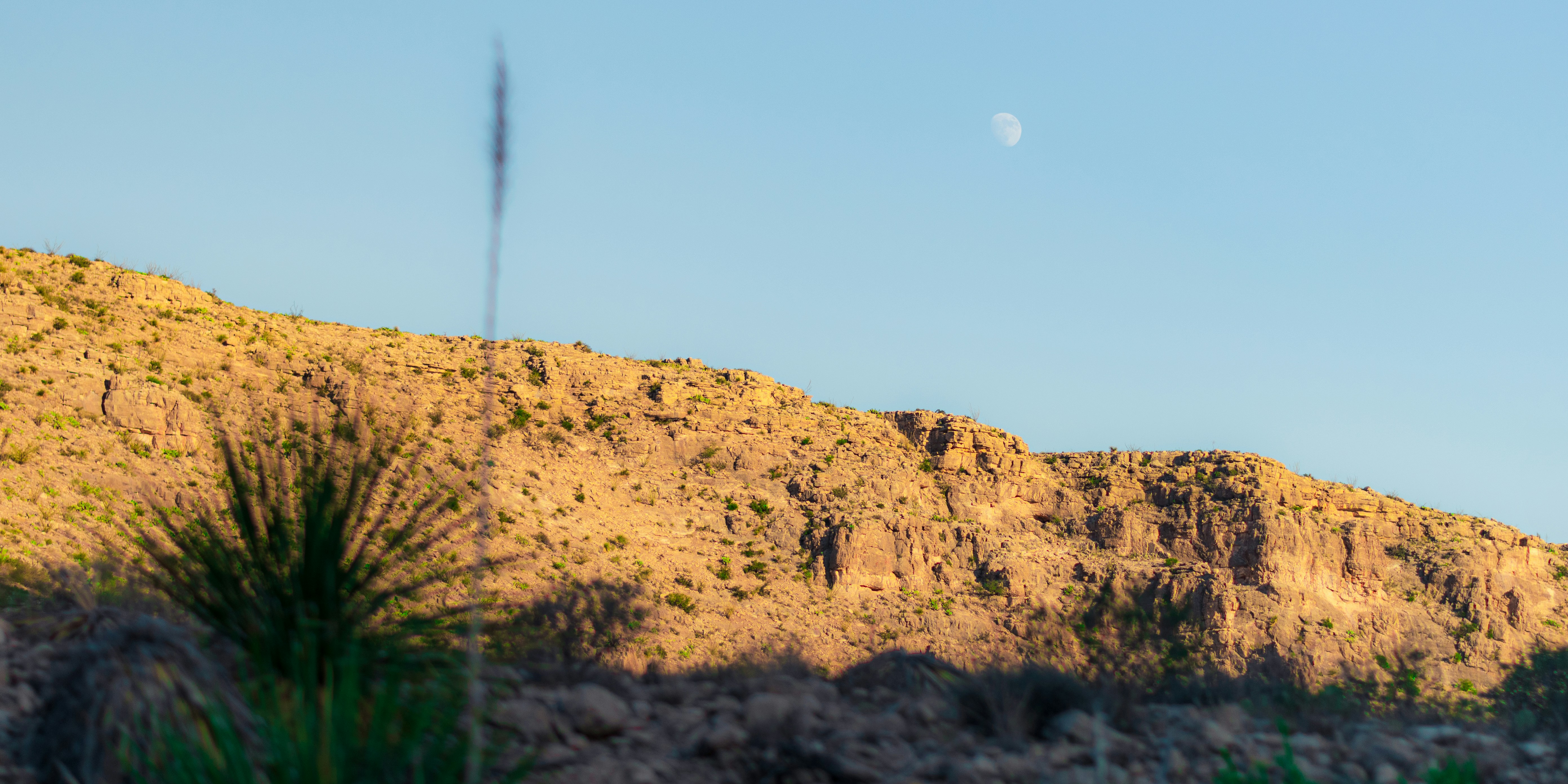 Photo by sankalpmudaliar