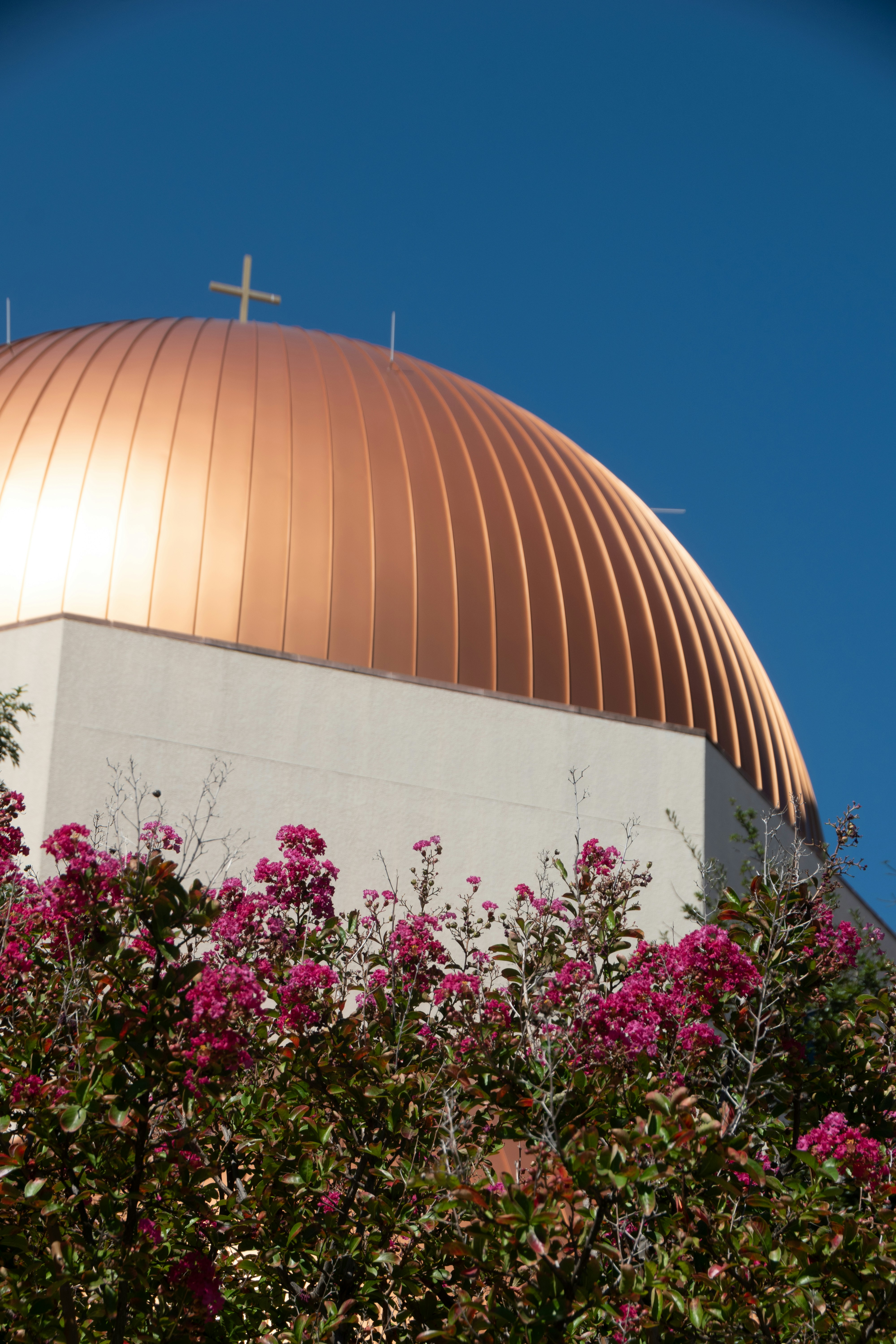 Photo by sankalpmudaliar