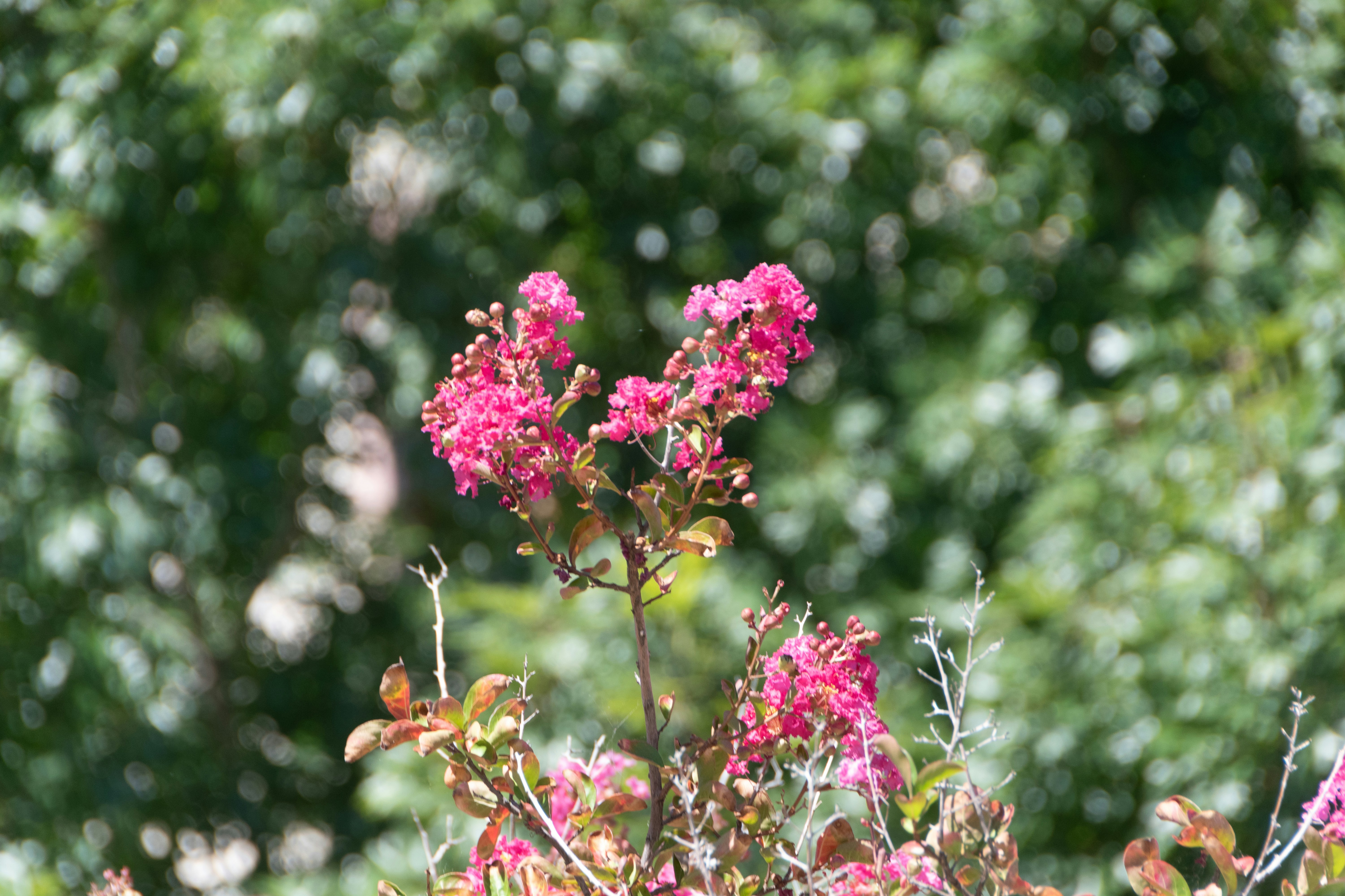 Photo by sankalpmudaliar