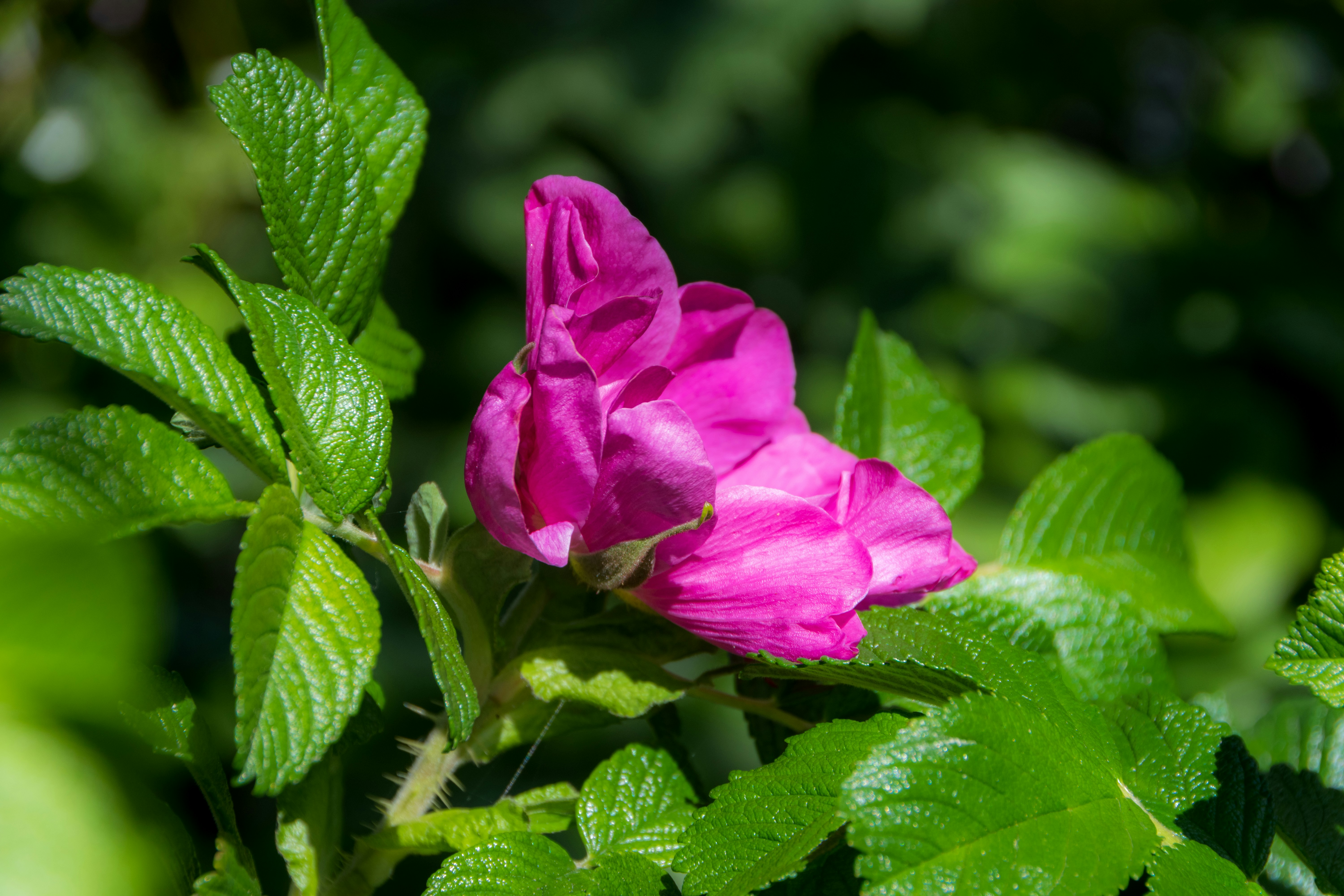 Photo by sankalpmudaliar