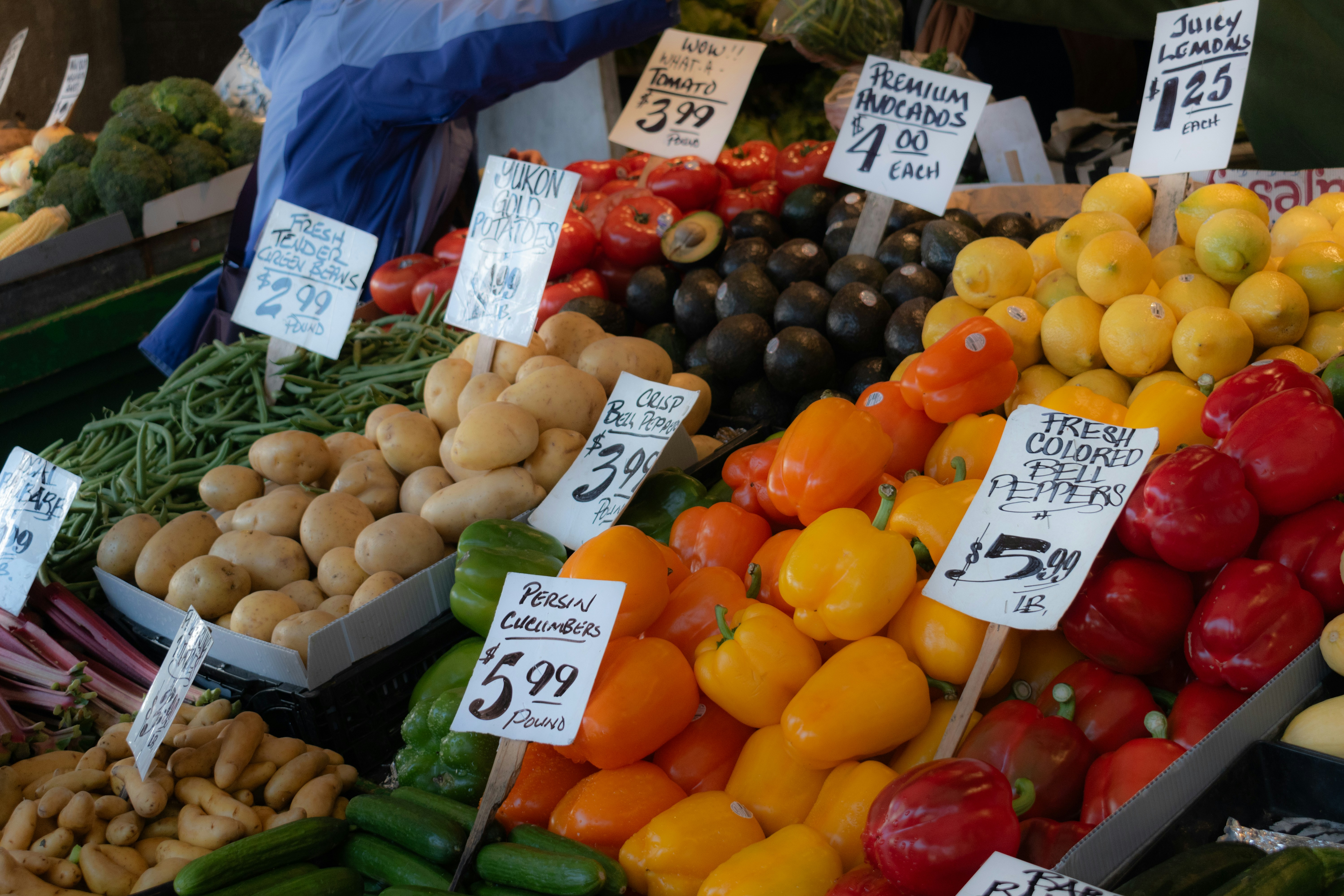 Photo by sankalpmudaliar